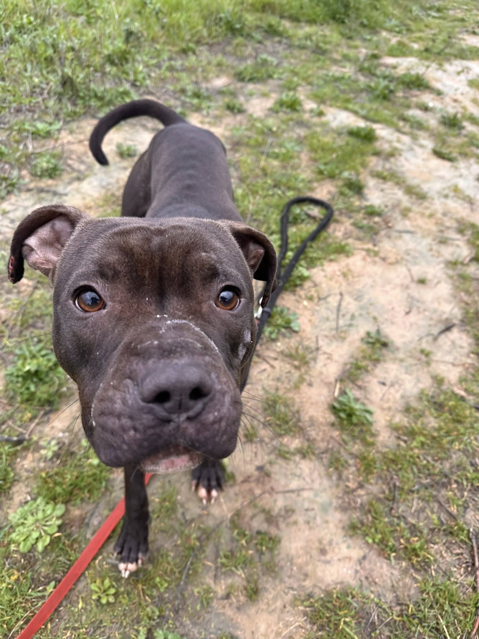 603843440_1279904210829951_5463137095757704497_n