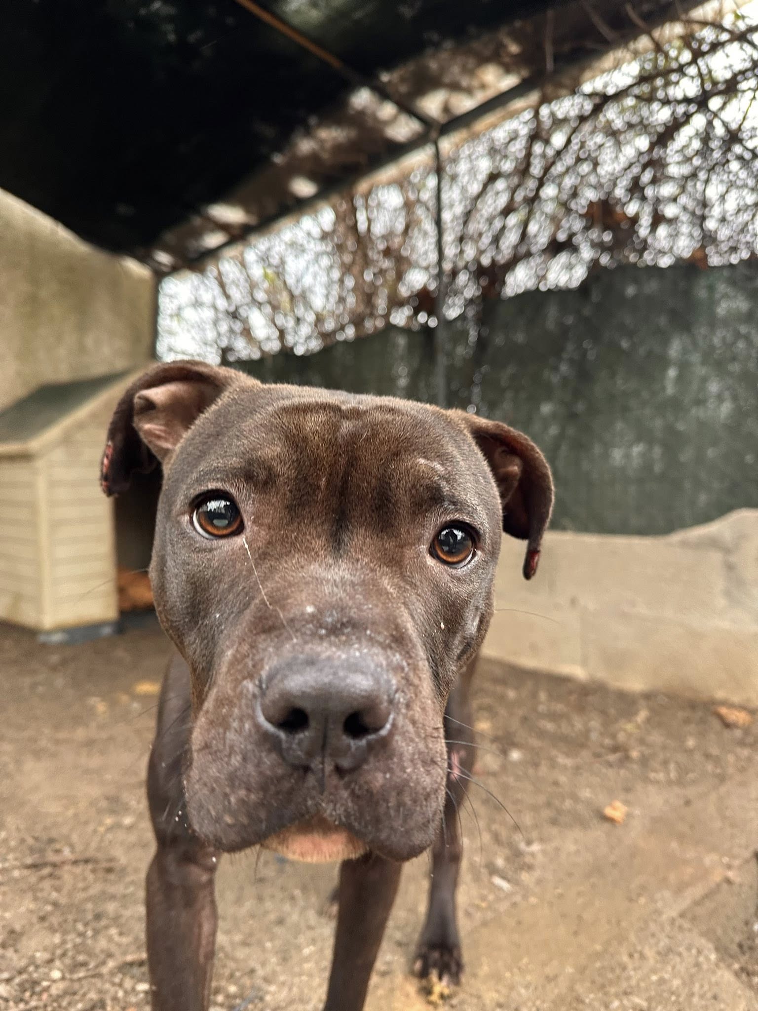 Lire la suite à propos de l’article Jump