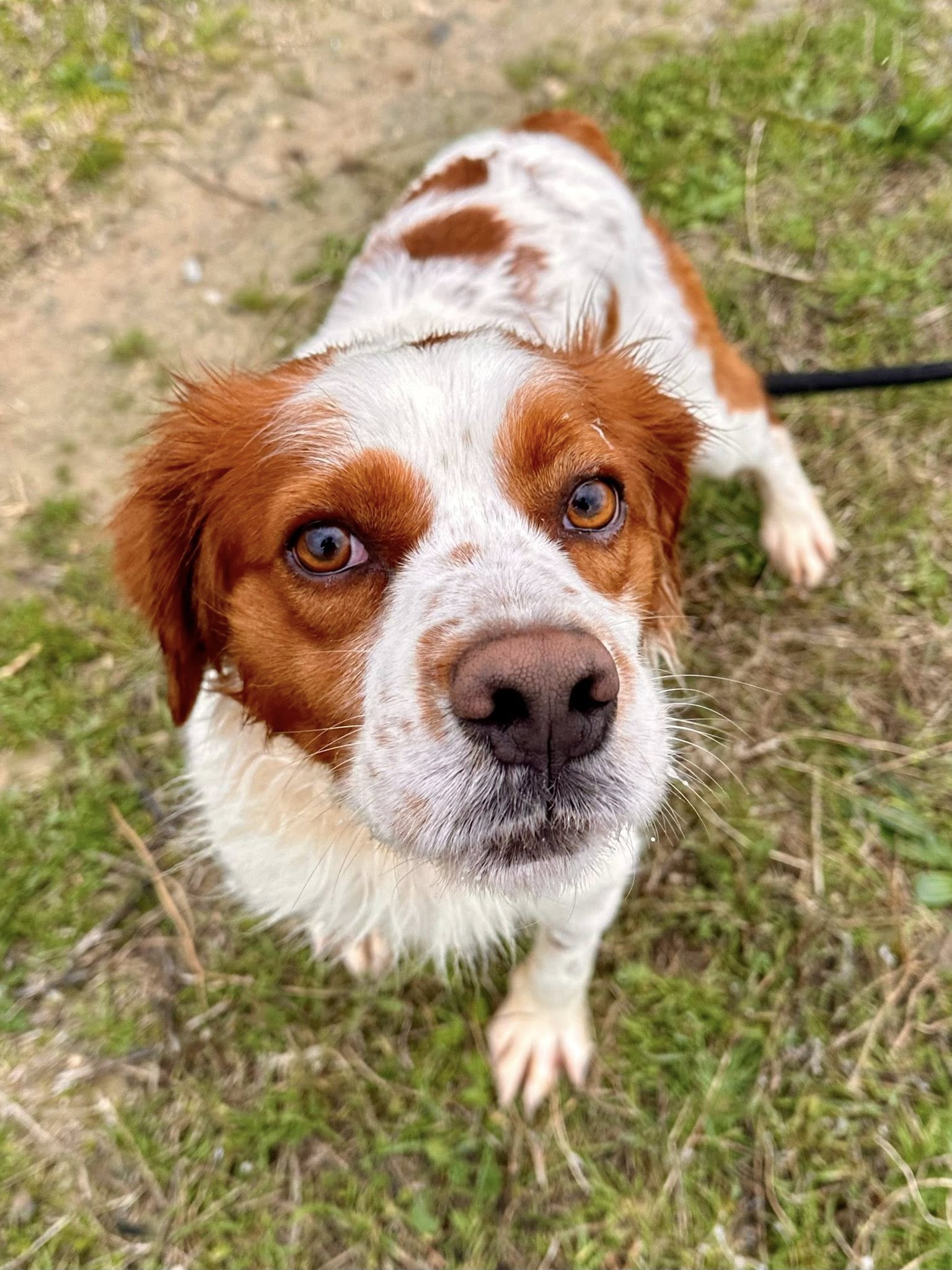 Lire la suite à propos de l’article Filou