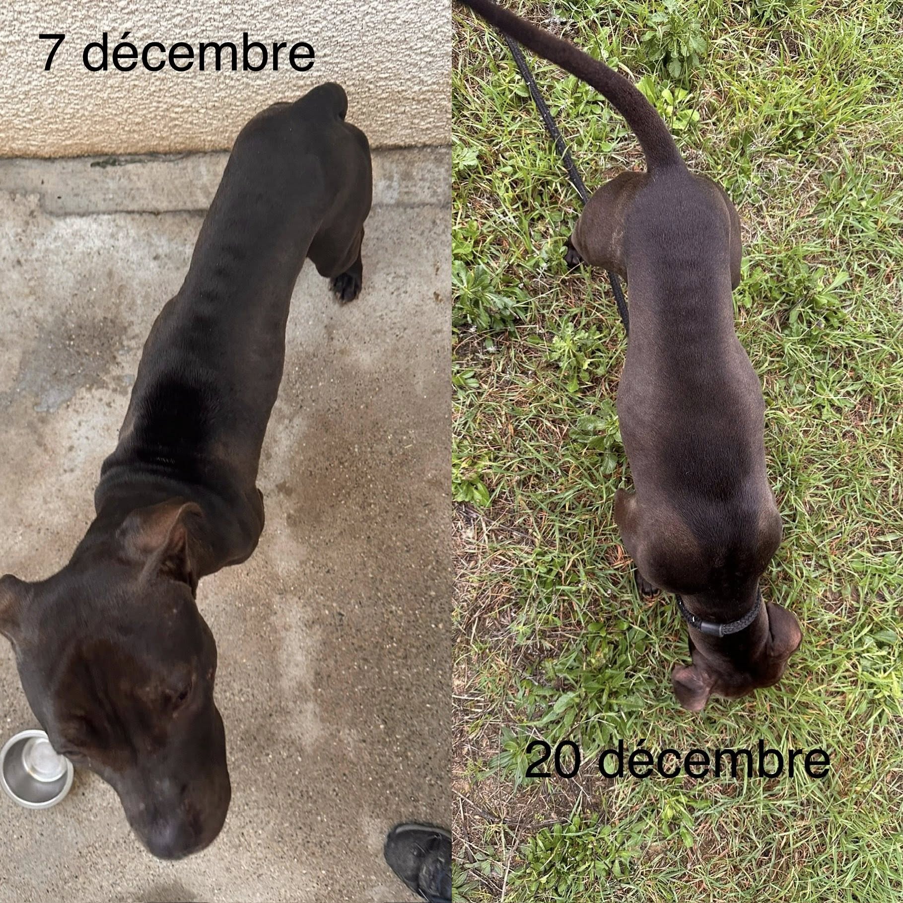 603927963_1279904217496617_2346030663193443743_n