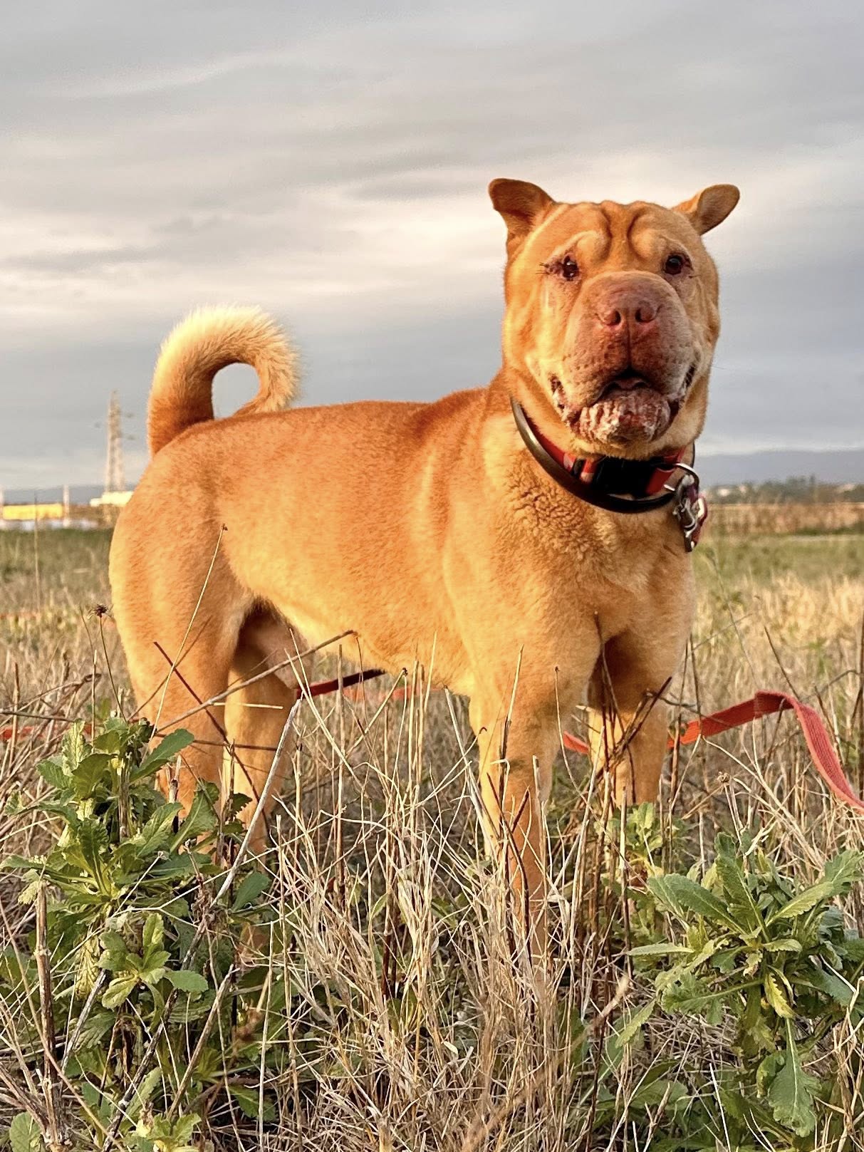 605556210_1284251707061868_7057782939844020089_n