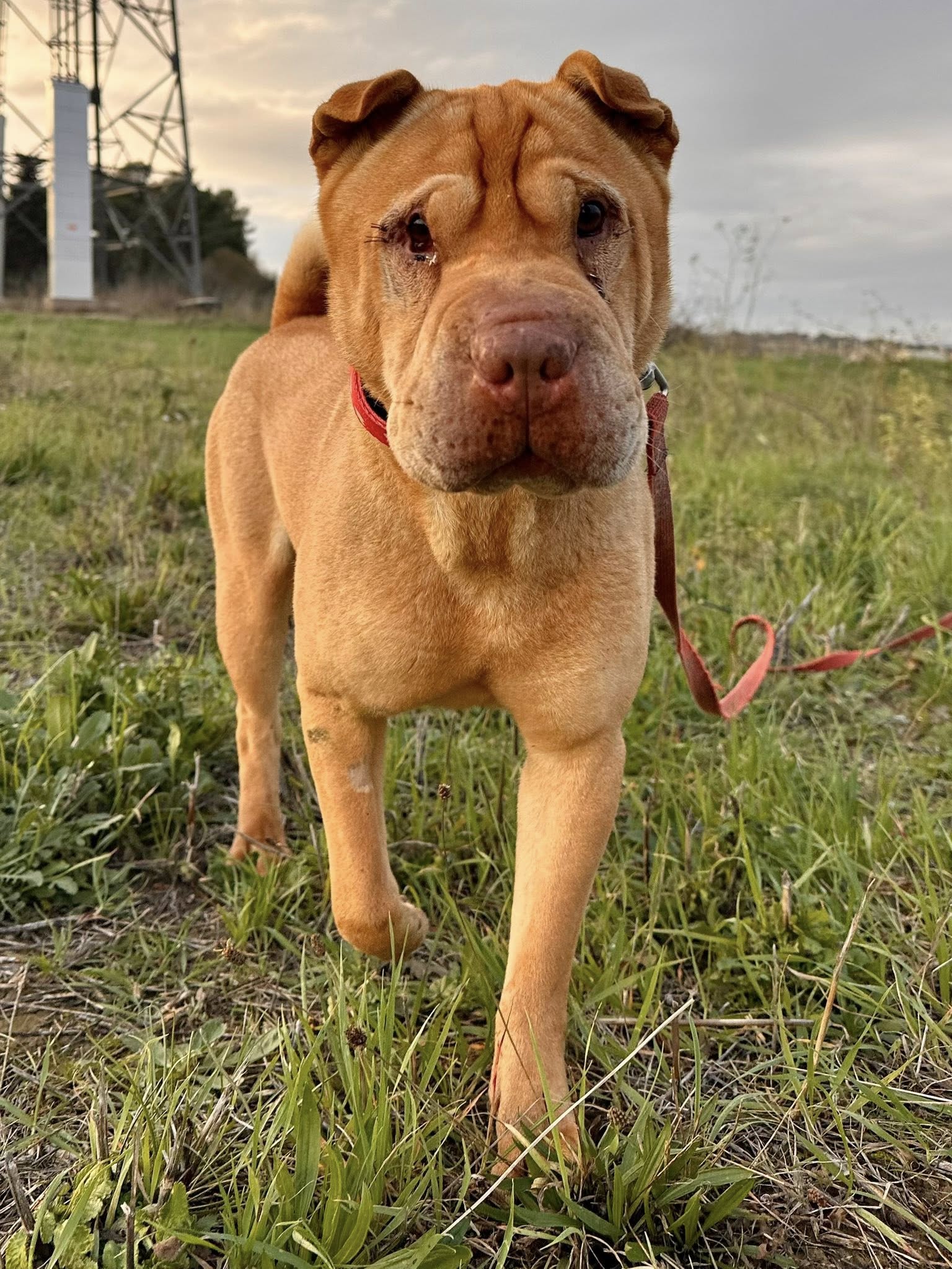 605829404_1284251717061867_1441131433503439455_n