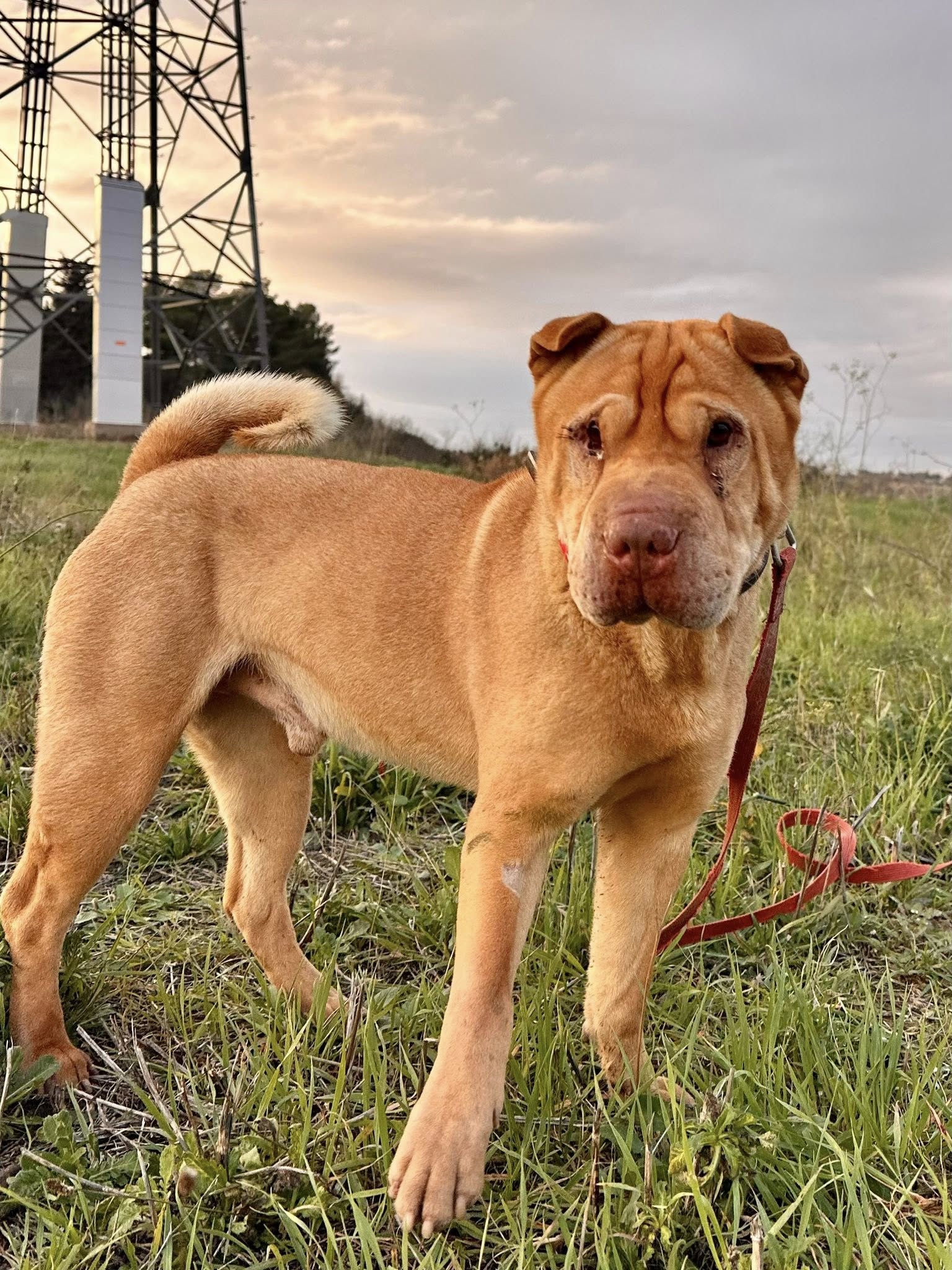 608154823_1284251863728519_5397464504102987413_n