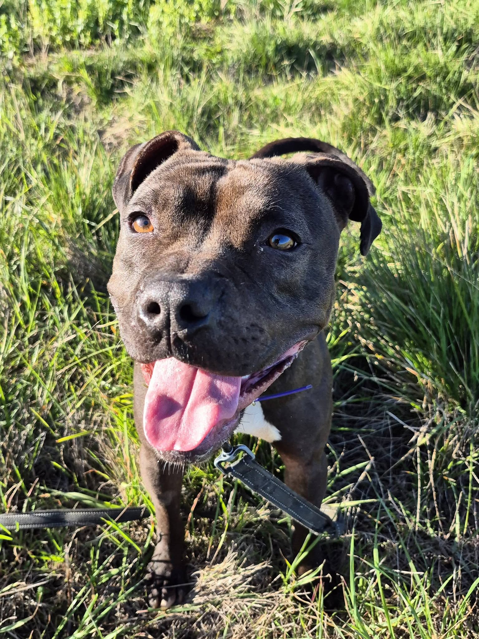 629832783_10240895174138670_4496562552020054195_n