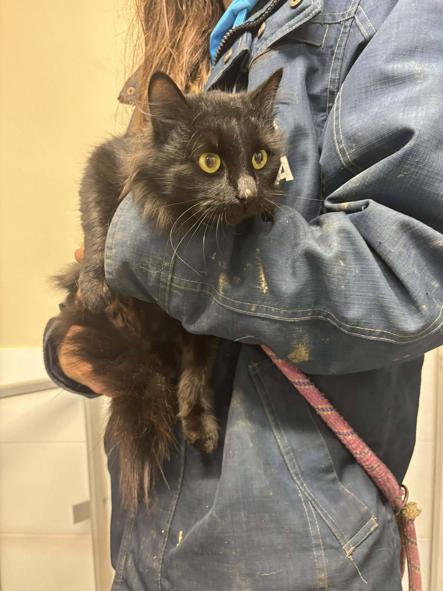 Lire la suite à propos de l’article 20/12 – FOURRIÈRE – A651 FO 30/12