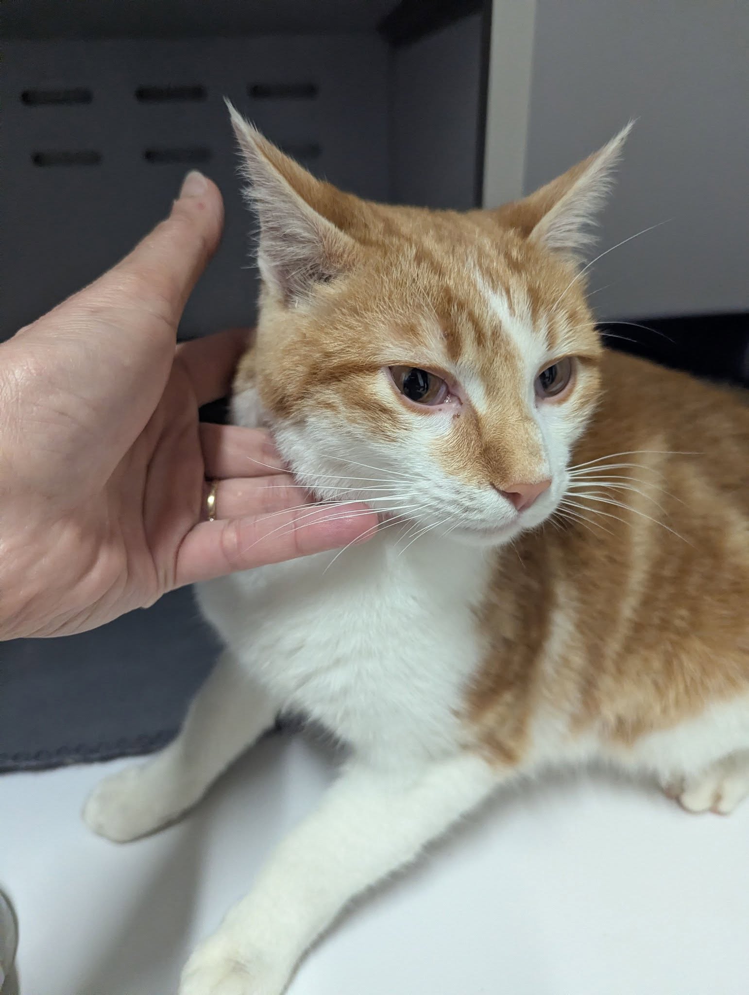 Lire la suite à propos de l’article 22/12 – FOURRIÈRE – A655 FO 02/01