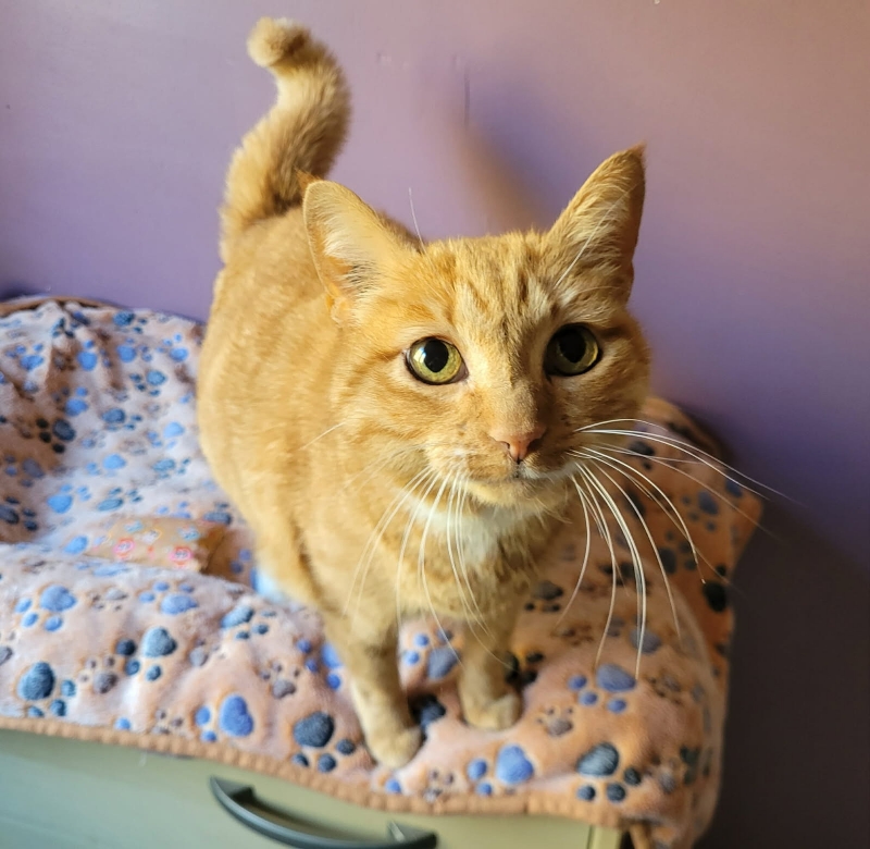 Lire la suite à propos de l’article Poupette