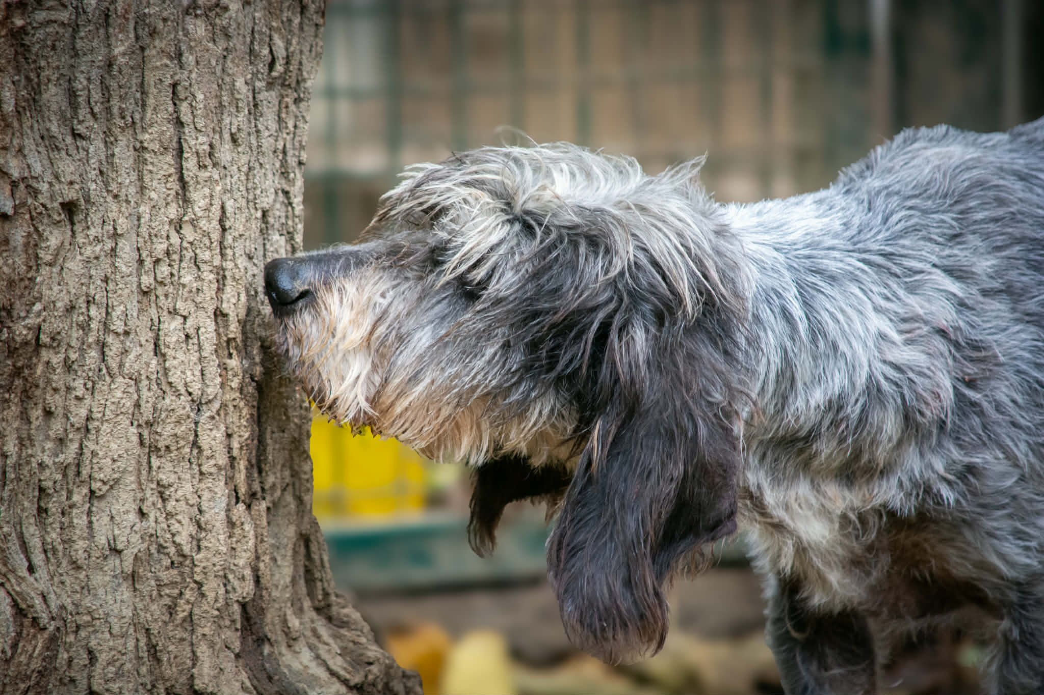 f1f4d201-8d1e-49a1-8aa7-2e5a6b4c0c96