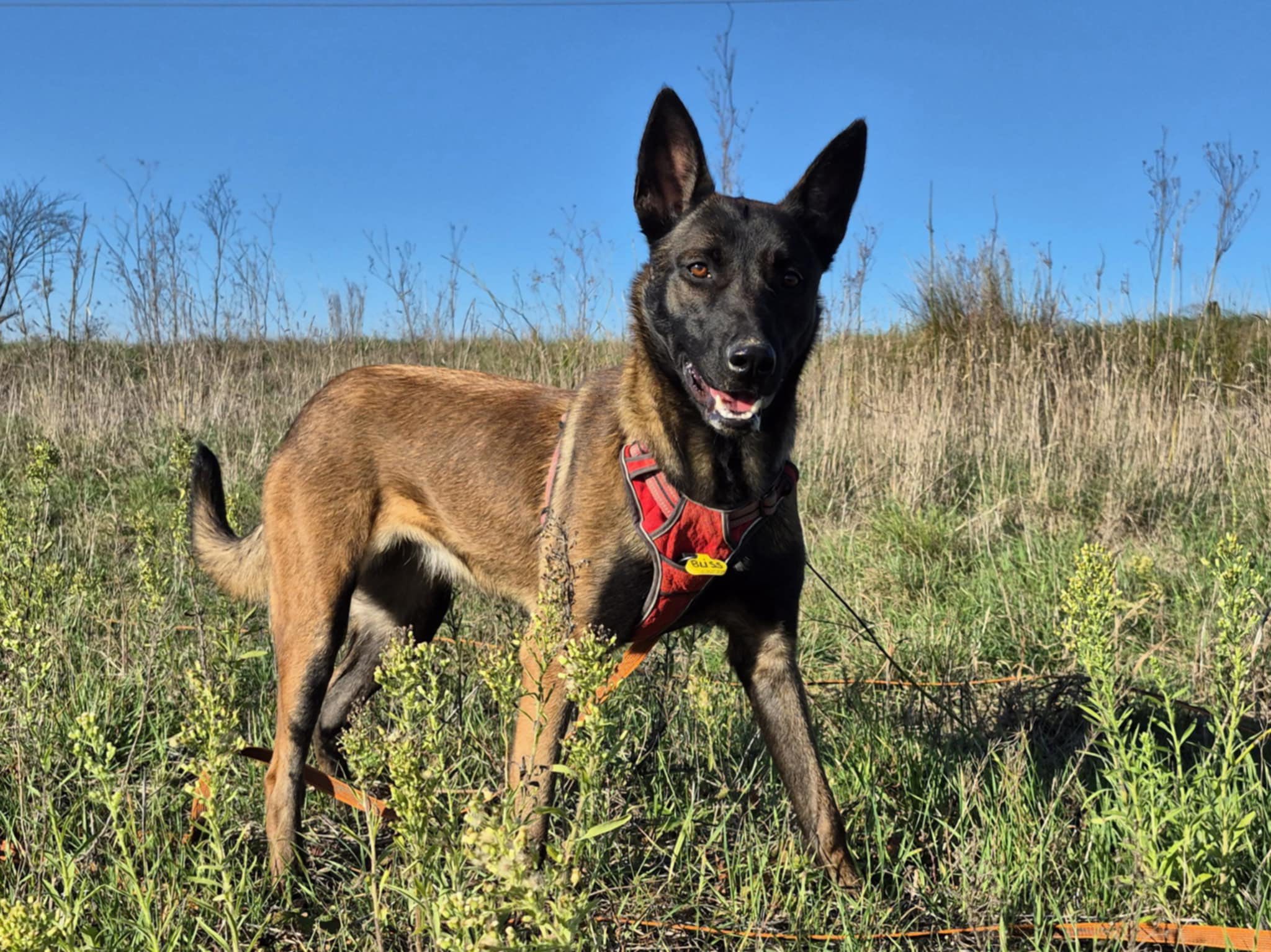 607418302_1286577020162670_7163384917813895839_n