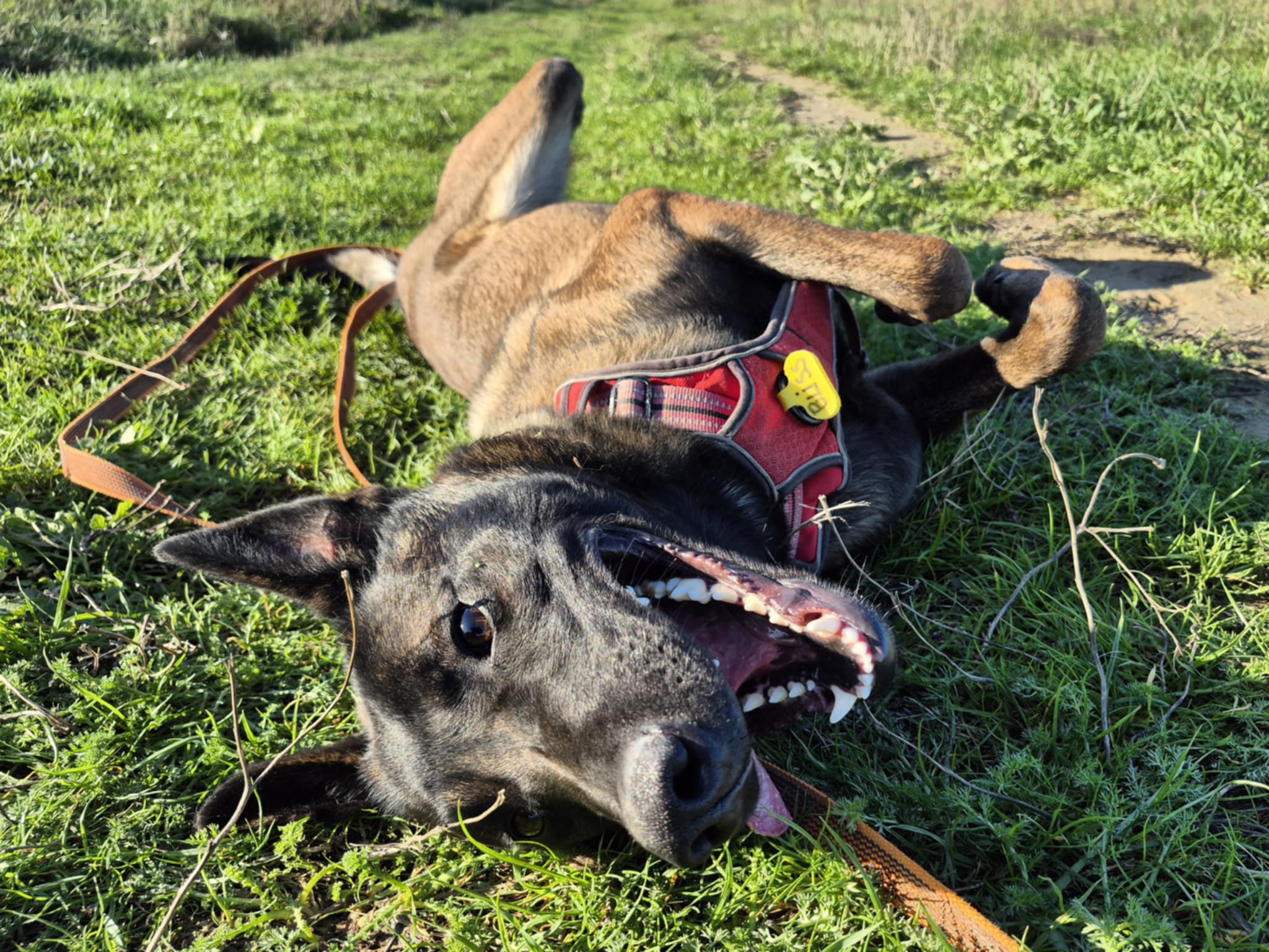 607611316_1286577040162668_1747181908672844508_n