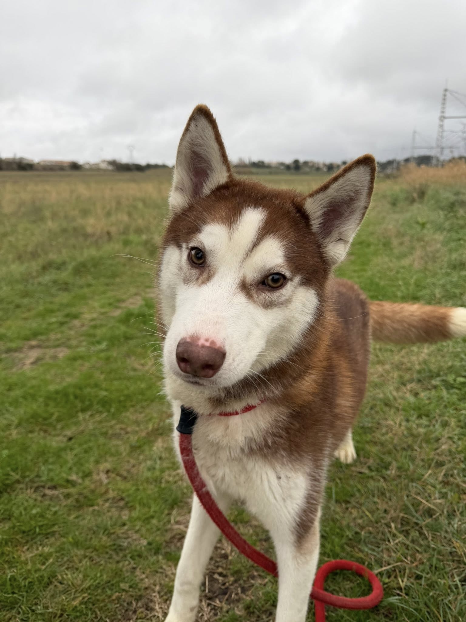 610795747_1288354156651623_2033292867412911760_n