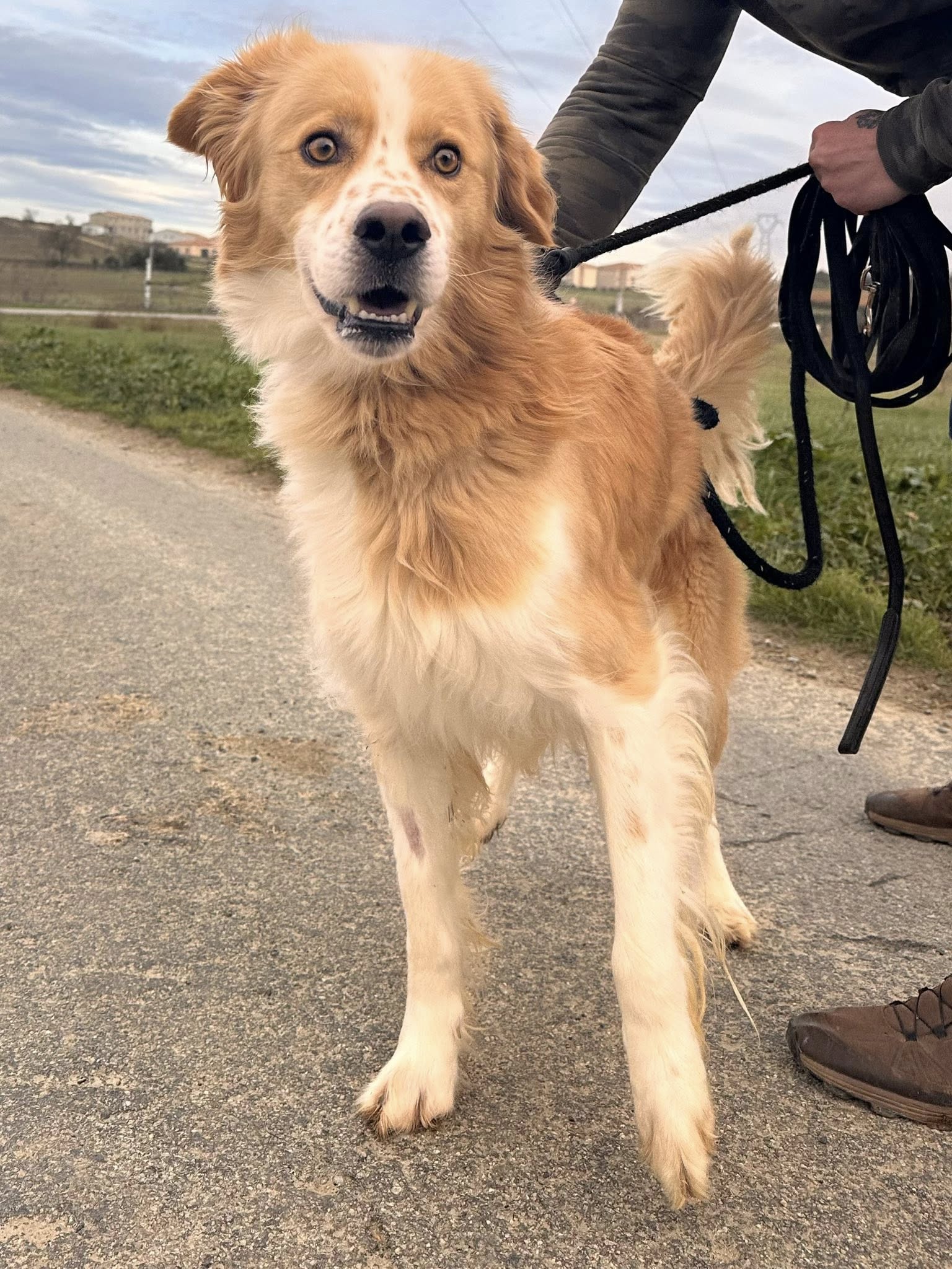 610828908_1289563036530735_5381589013234349770_n