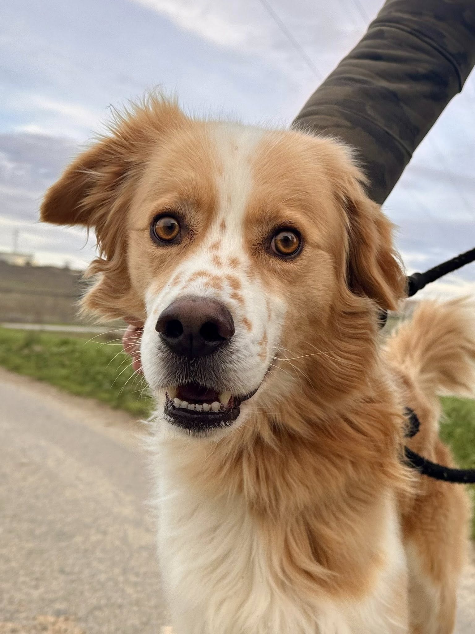 Lire la suite à propos de l’article Hiro