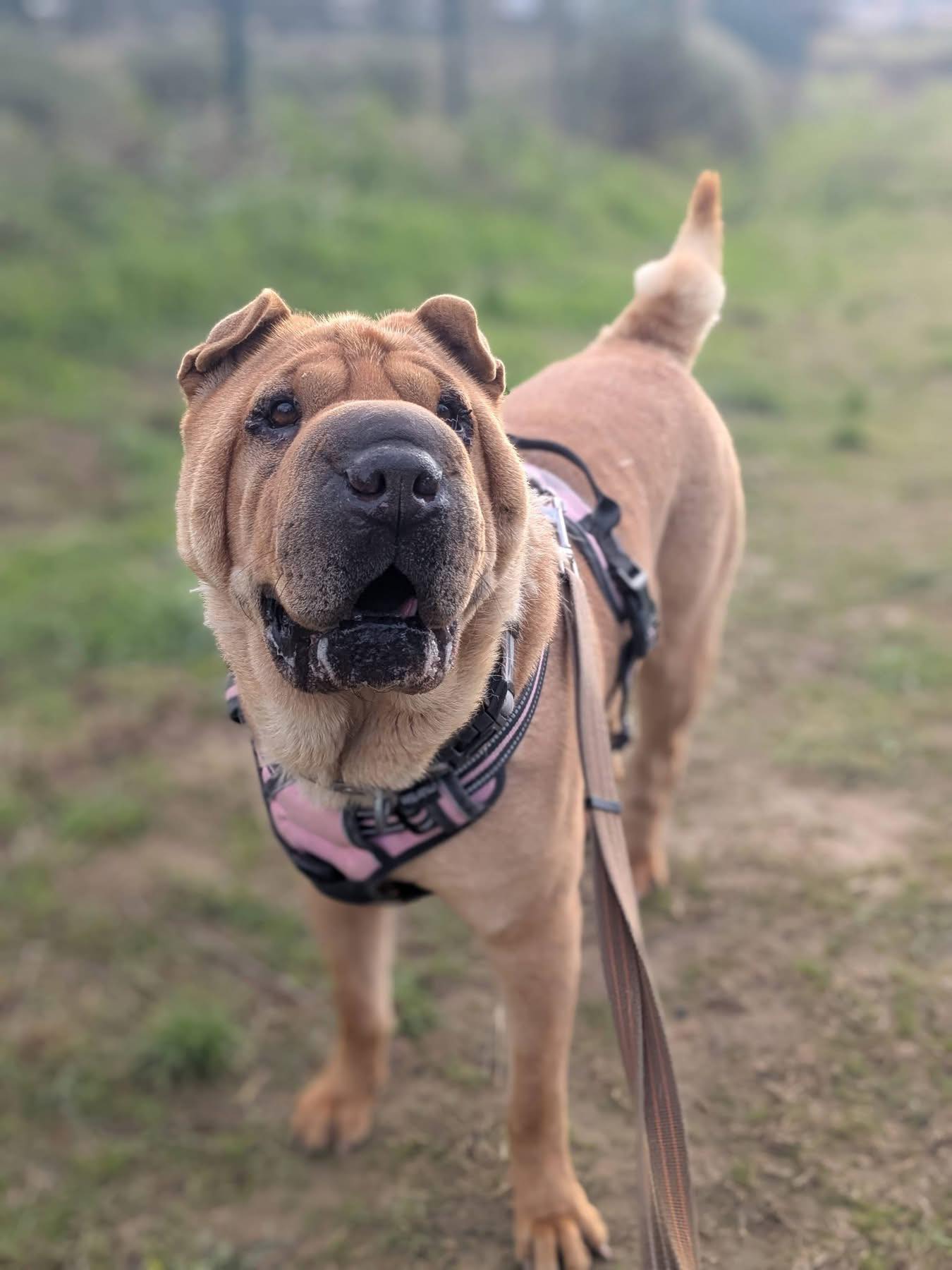 Lire la suite à propos de l’article Rita