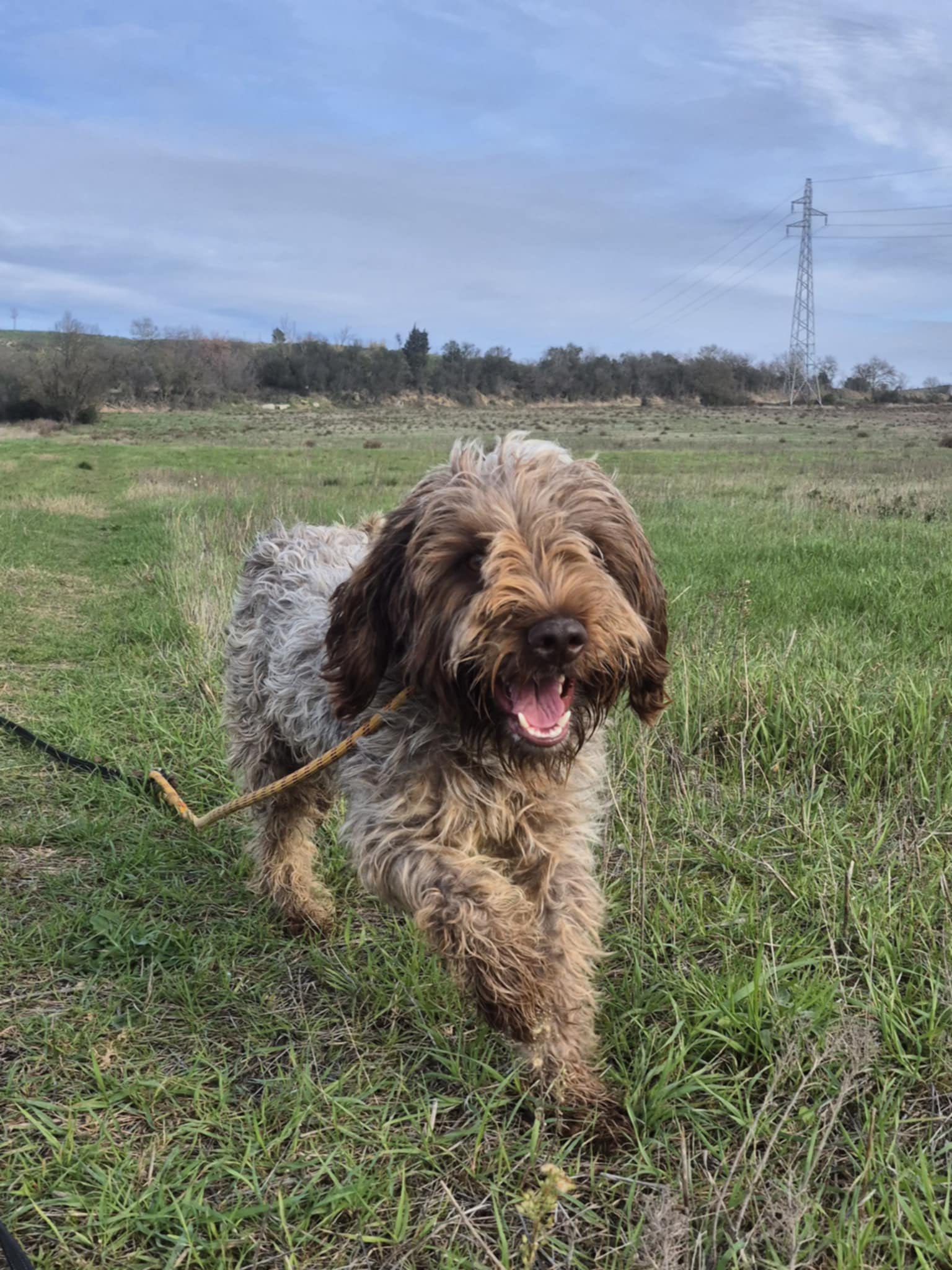 615744422_1296745465812492_1354362918874546820_n