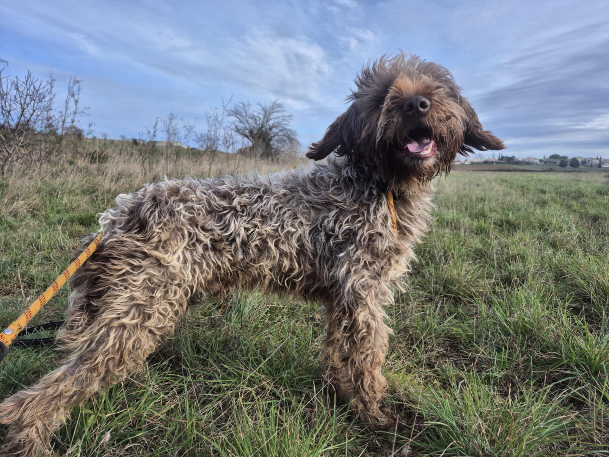 615796193_1296745382479167_1096956738141655387_n