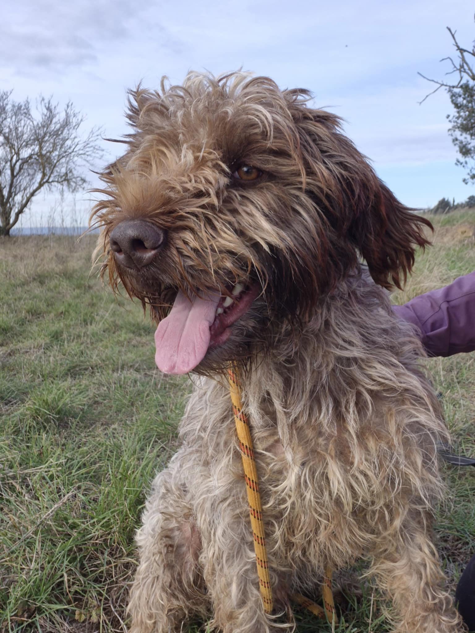 616208539_1296745475812491_4136734784718868432_n