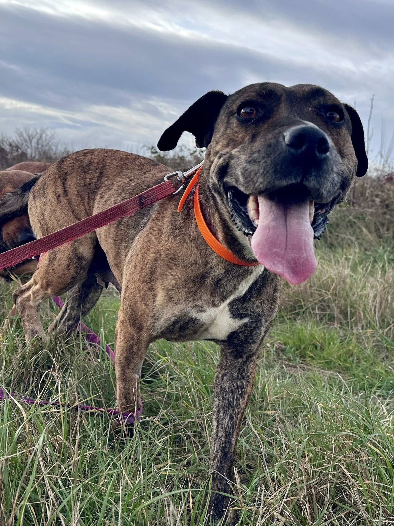 617053994_1301410548679317_7588940377031416957_n