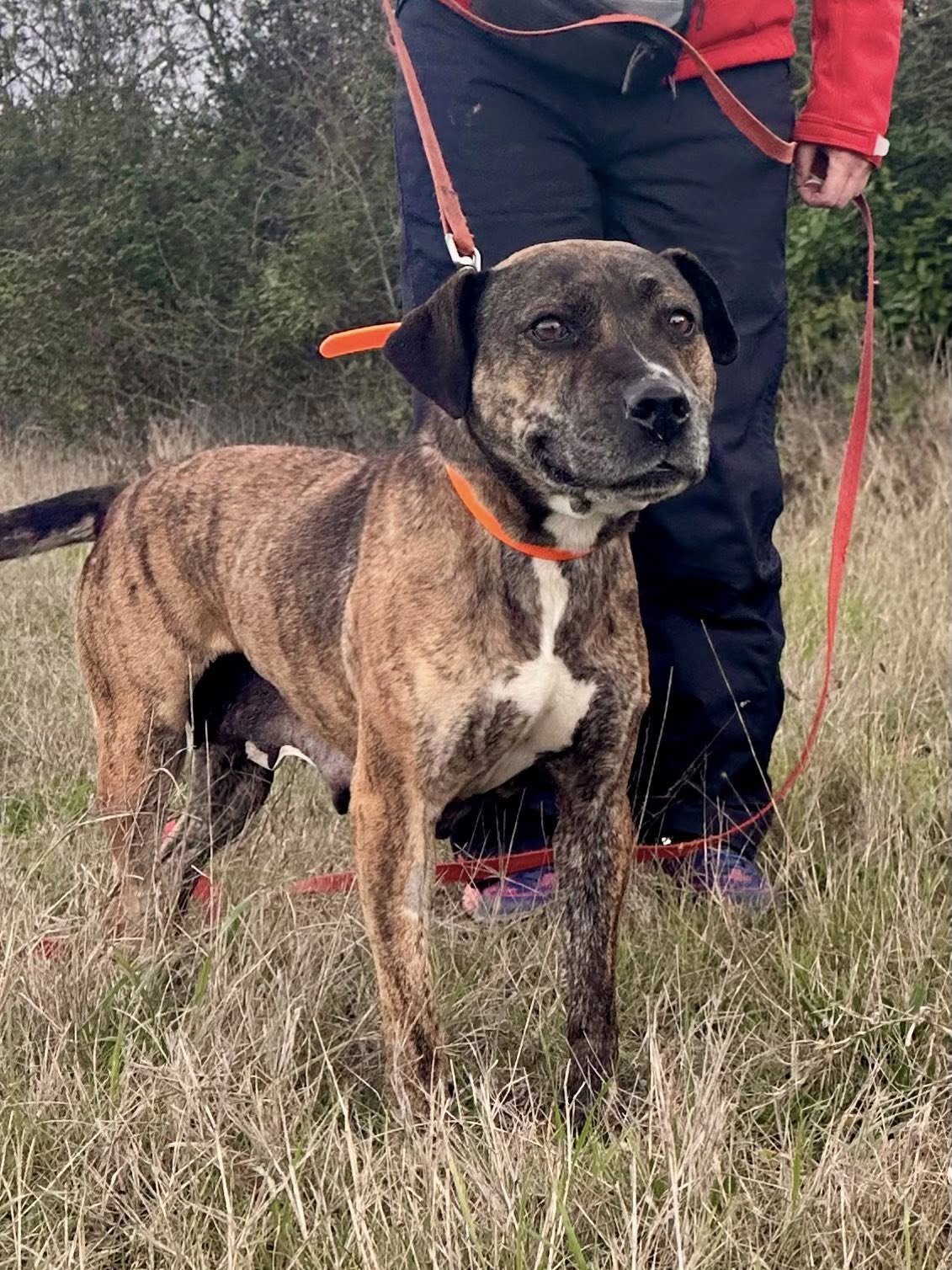 Lire la suite à propos de l’article Mercedes