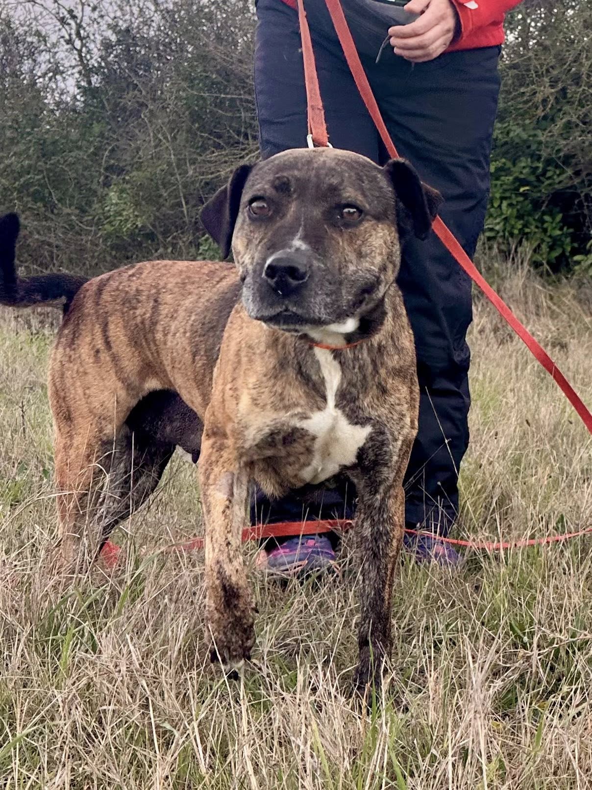 618947871_1301410625345976_7132004019170826896_n