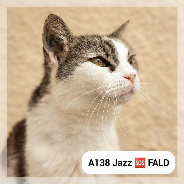 🆘 Jazz – *Recherche FALD*