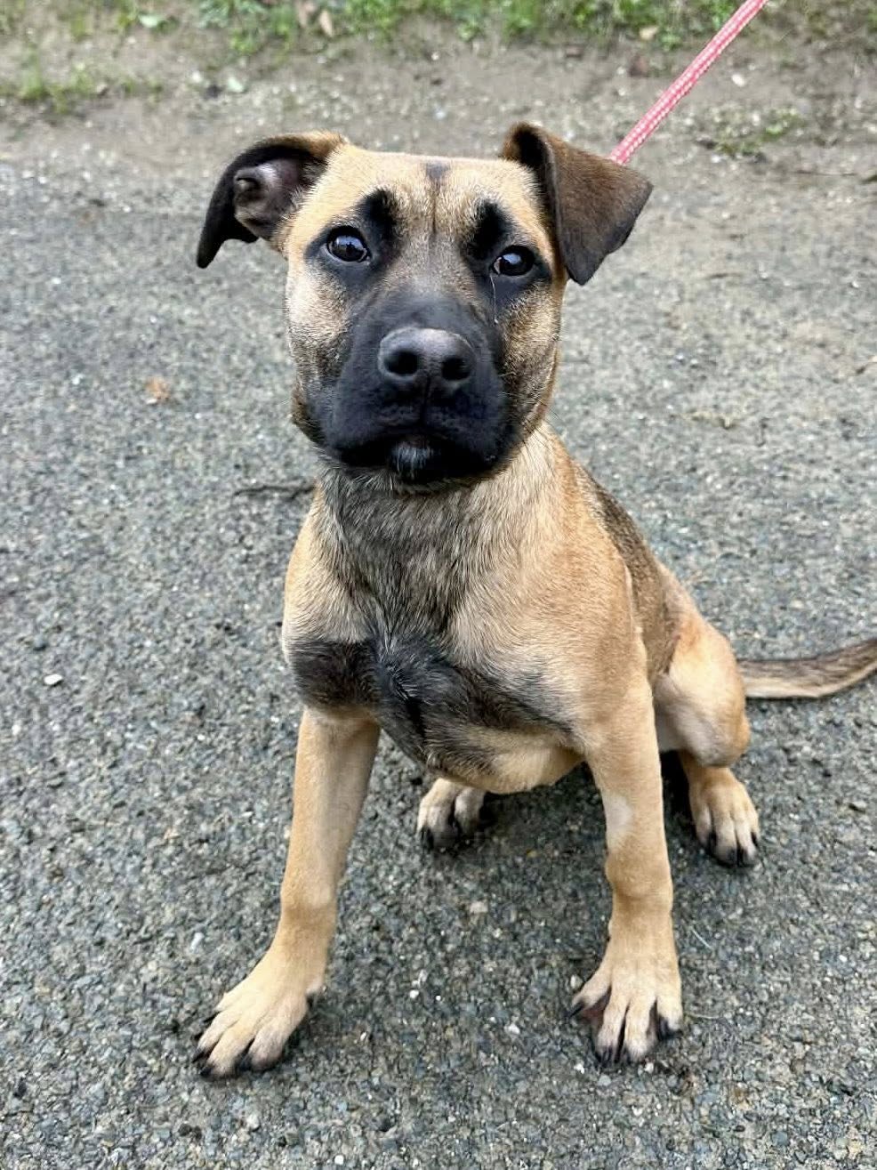 Lire la suite à propos de l’article Ami – en F.A. au refuge le 14/01 (14h-17h)