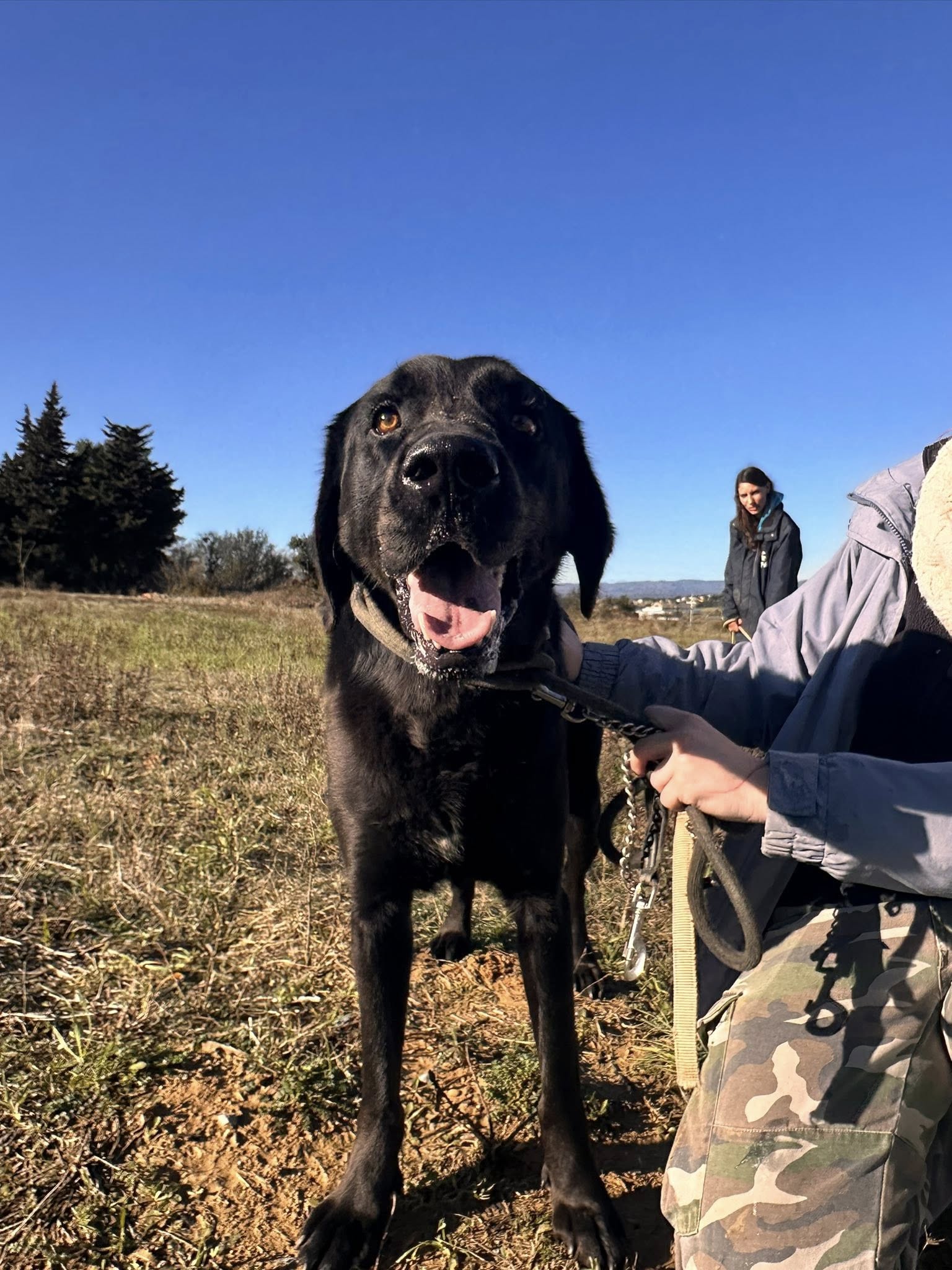 Lire la suite à propos de l’article Black