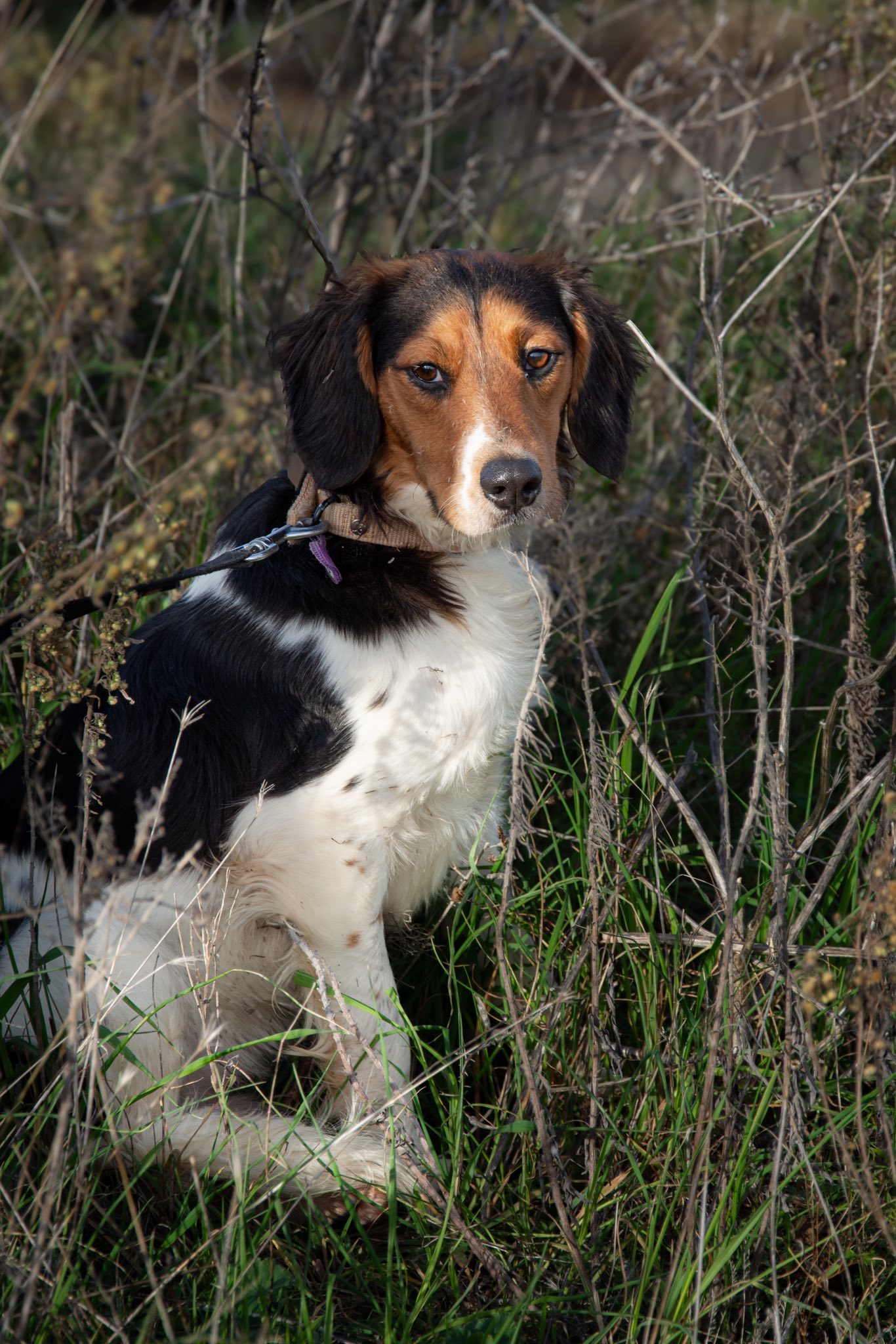 Lire la suite à propos de l’article Coquin