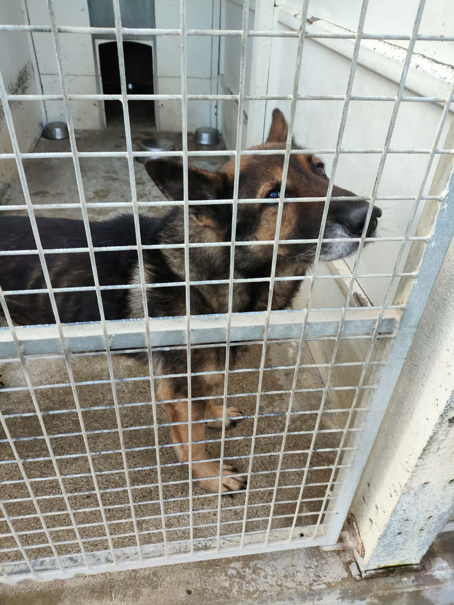 Lire la suite à propos de l’article 04/01 – FOURRIÈRE CC2/Omépo