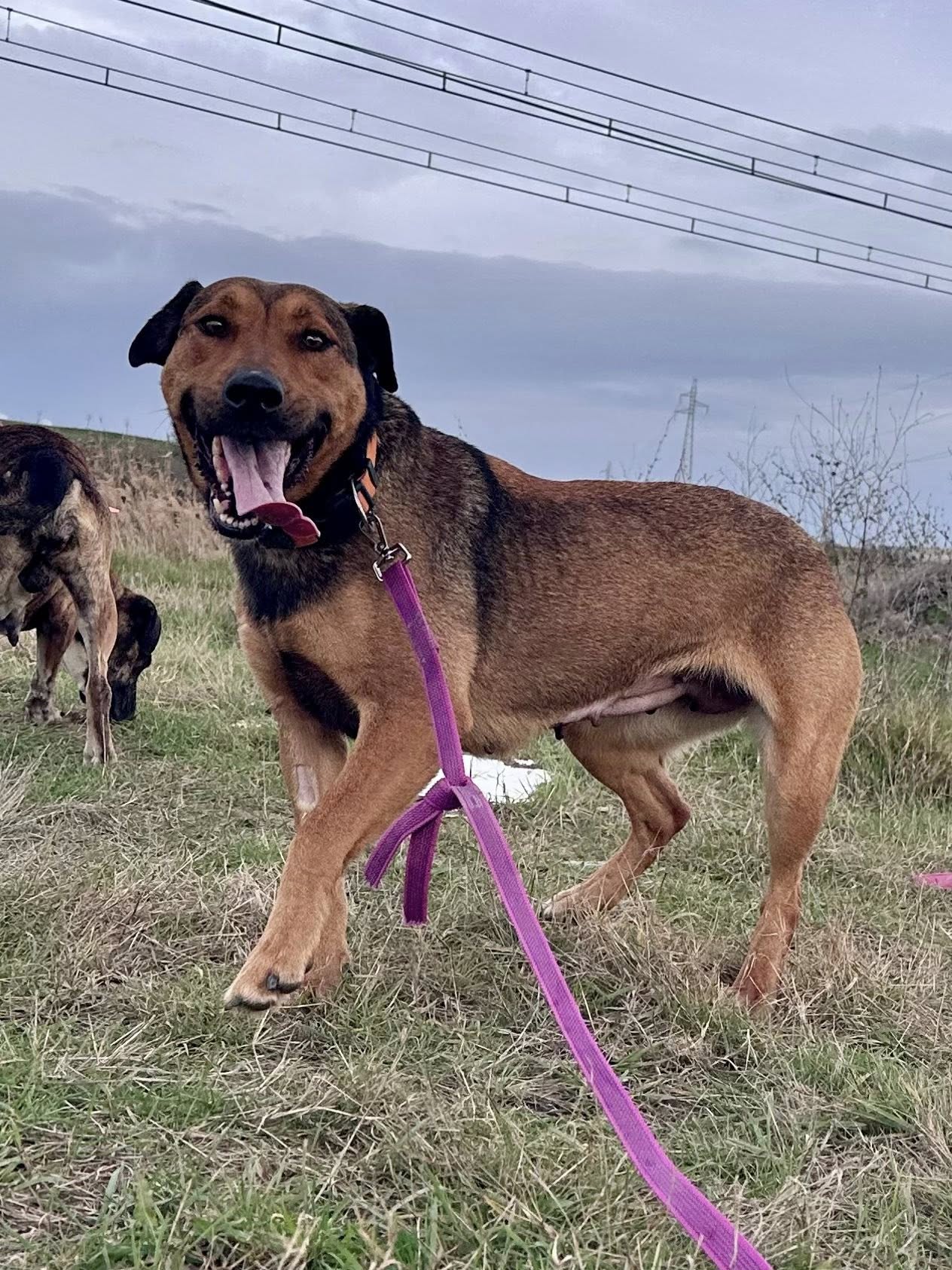 Lire la suite à propos de l’article Rika