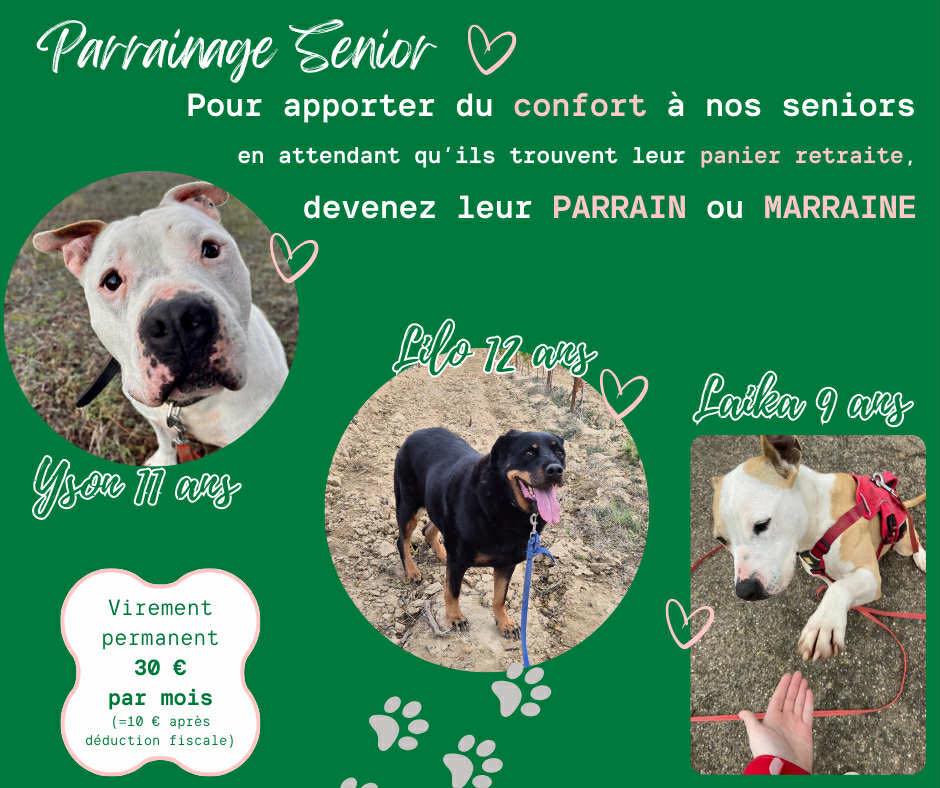 Lire la suite à propos de l’article *SOS* Parrainages Seniors