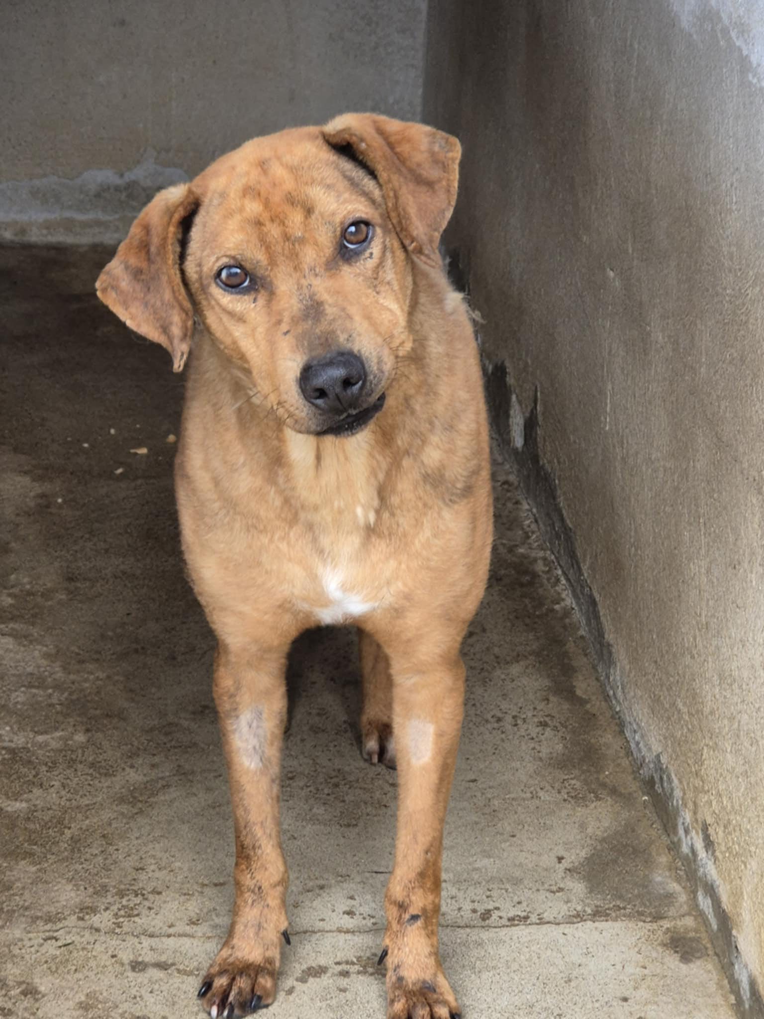 Lire la suite à propos de l’article Victor