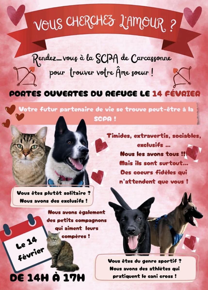 14 février scpa