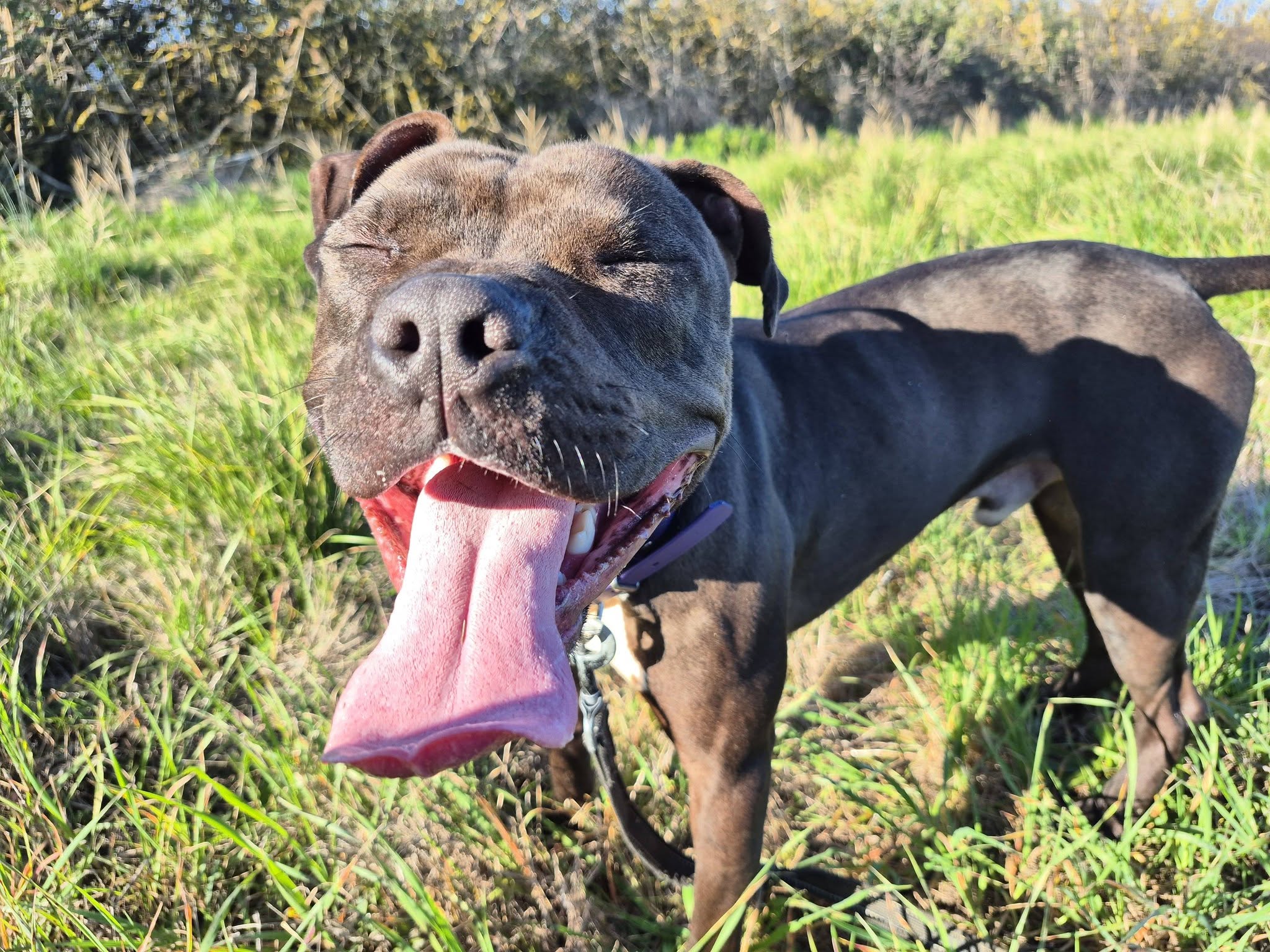 626016333_10240895176498729_1055921429043007619_n