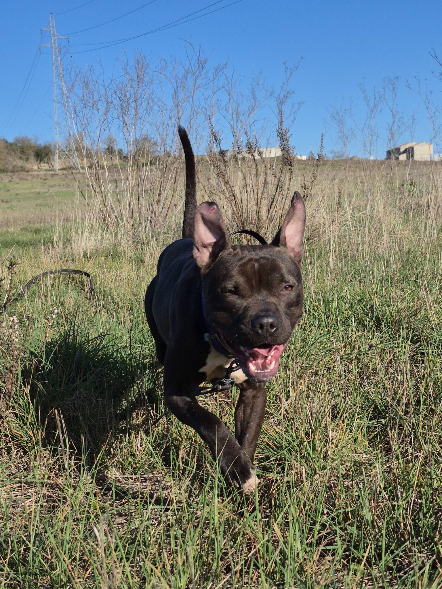 626453707_10240895178778786_7750259045064918346_n