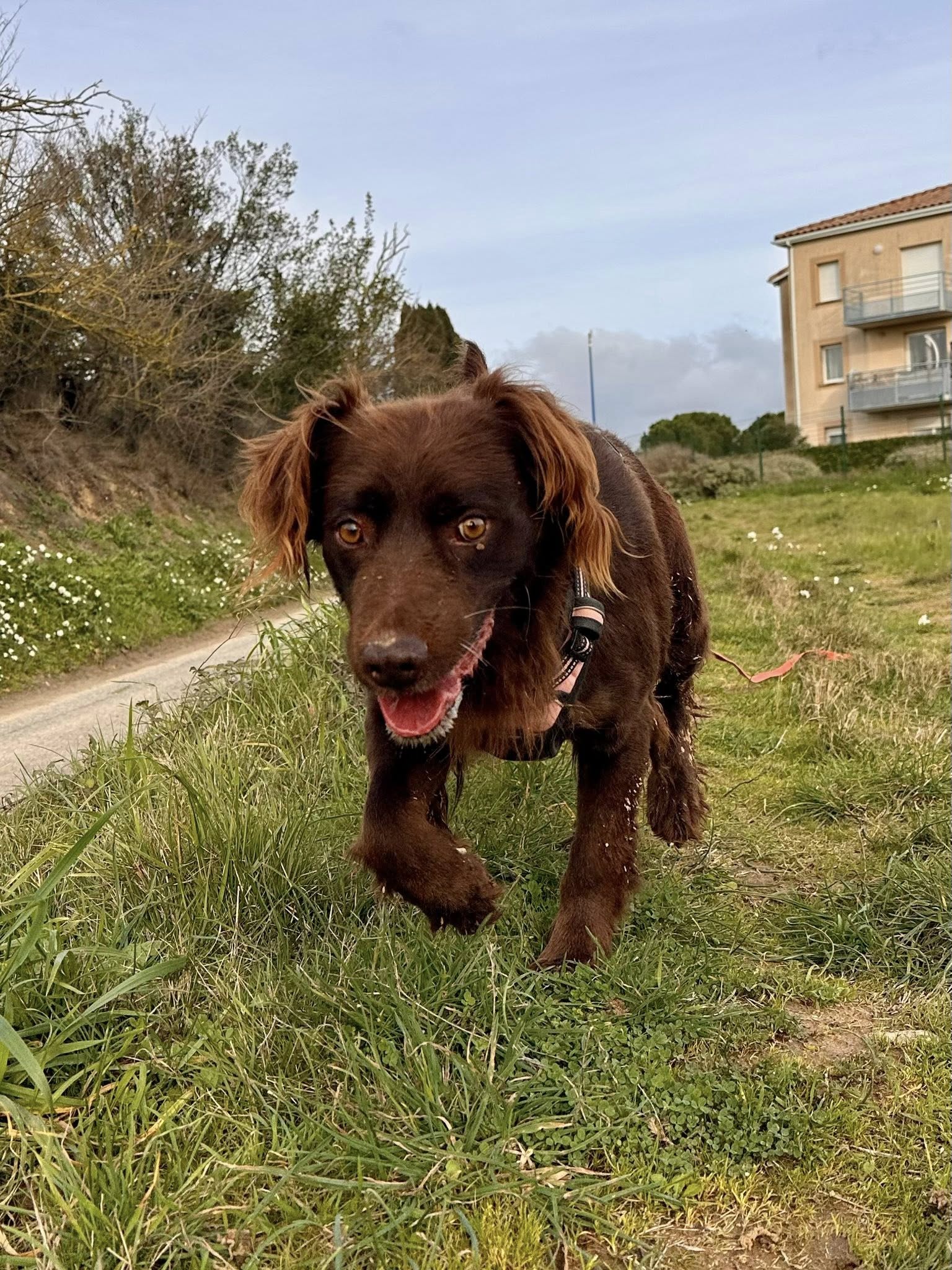 639897683_1327108849442820_3203965616324927328_n