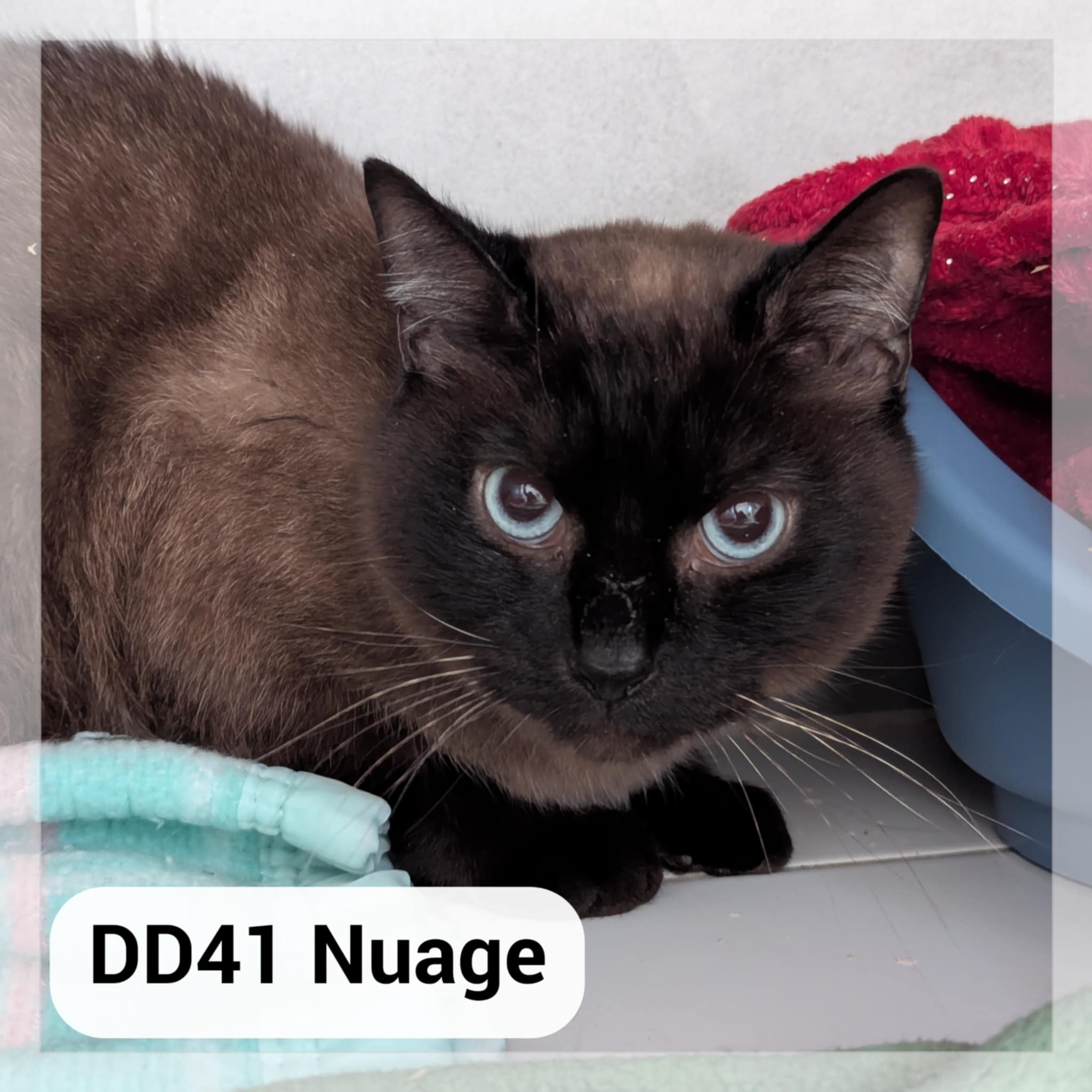 Lire la suite à propos de l’article Nuage