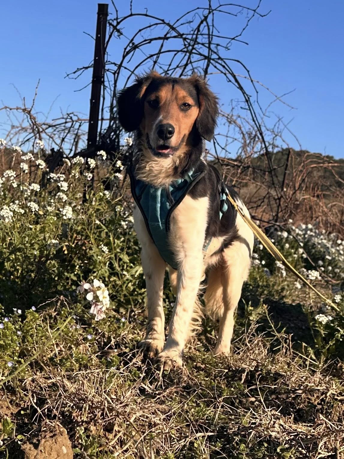 Lire la suite à propos de l’article Coquin