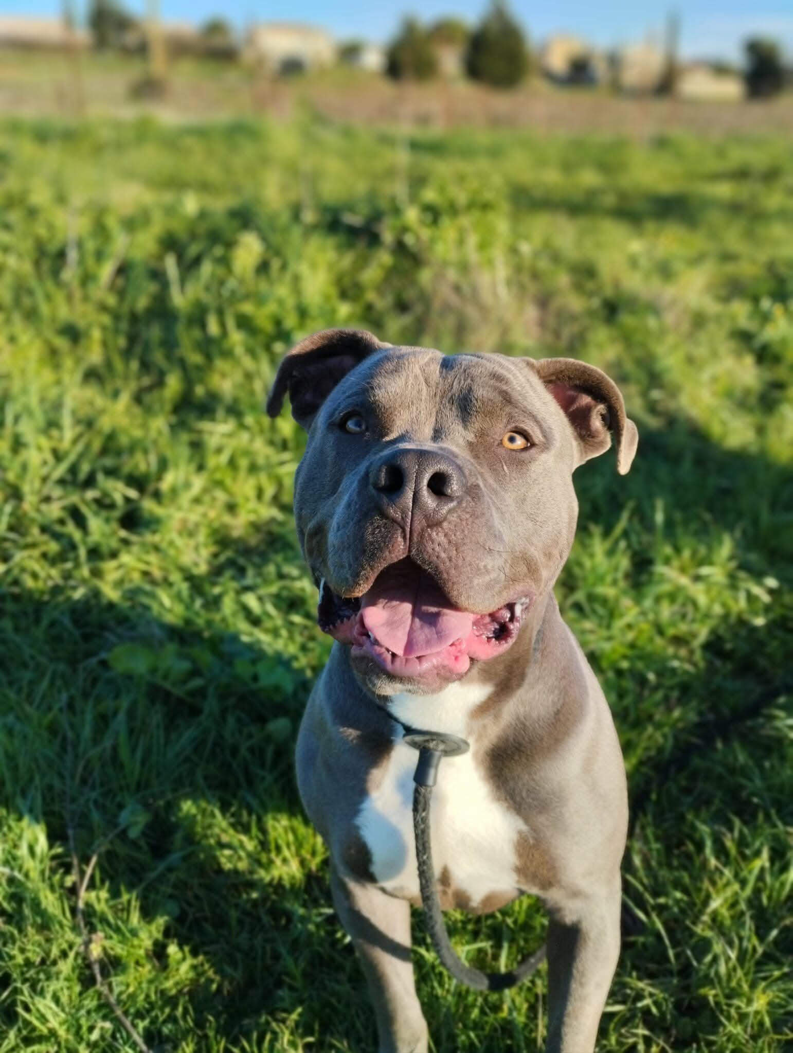 Lire la suite à propos de l’article Ice