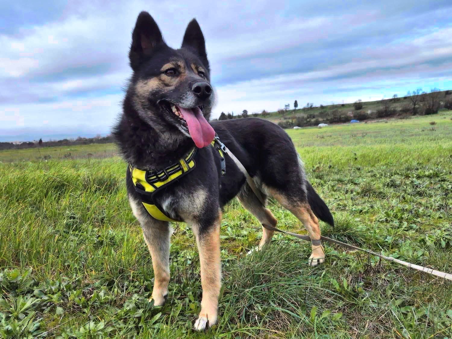 Lire la suite à propos de l’article Lexie