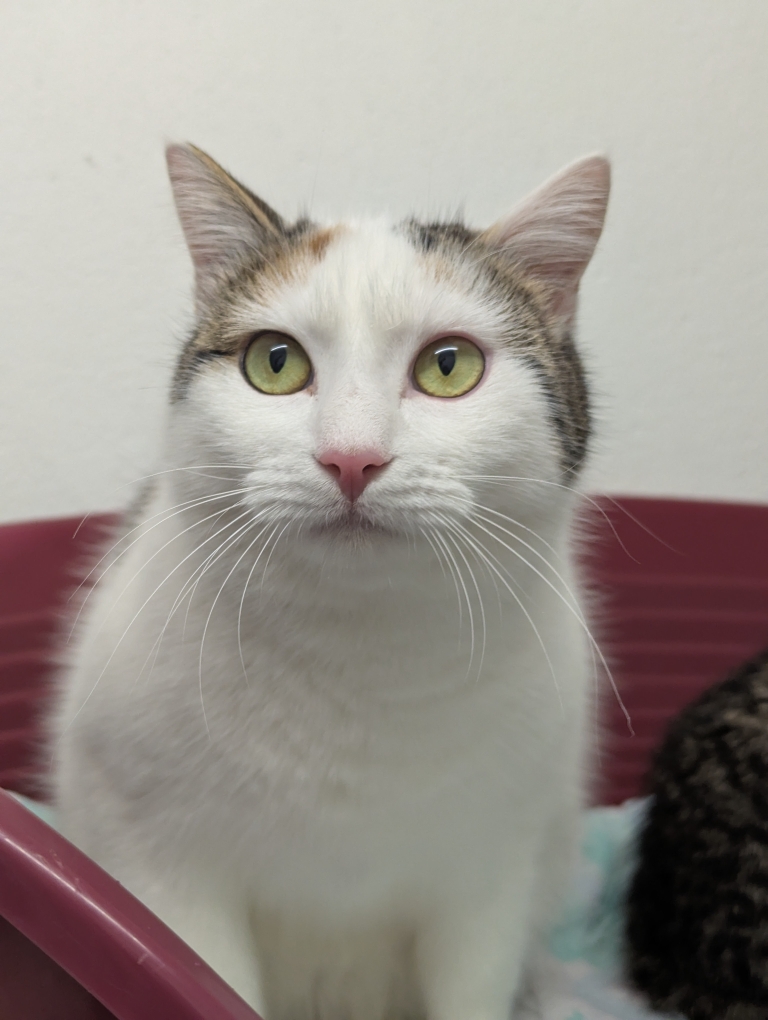 PXL_20260210_132556278