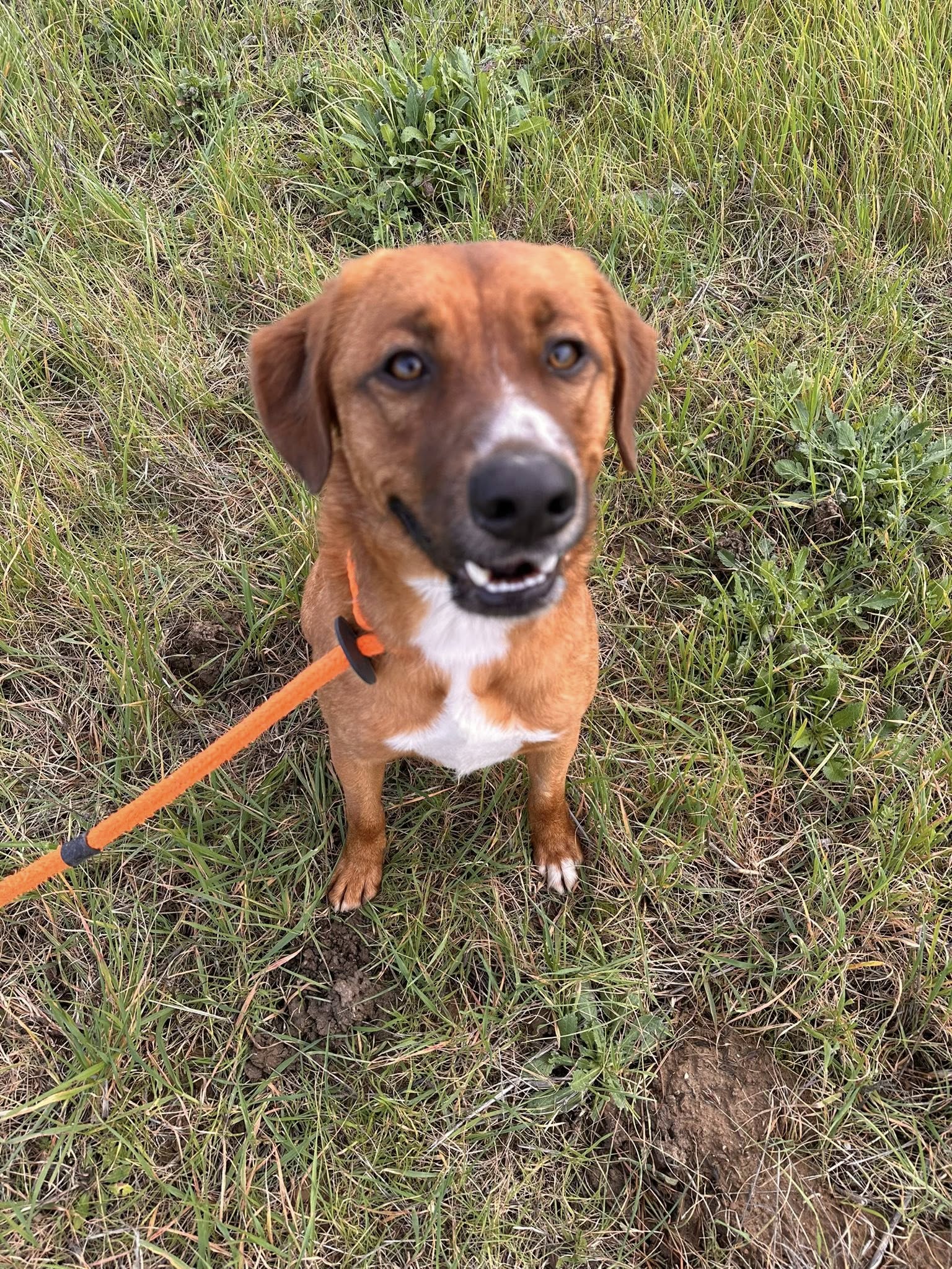 Lire la suite à propos de l’article Sammy