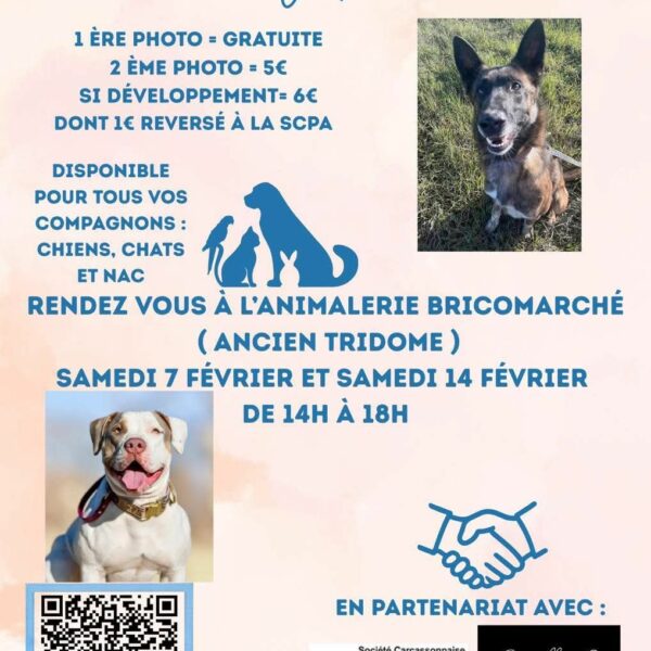 A vos agendas ! Samedis 7/02 + 14/02