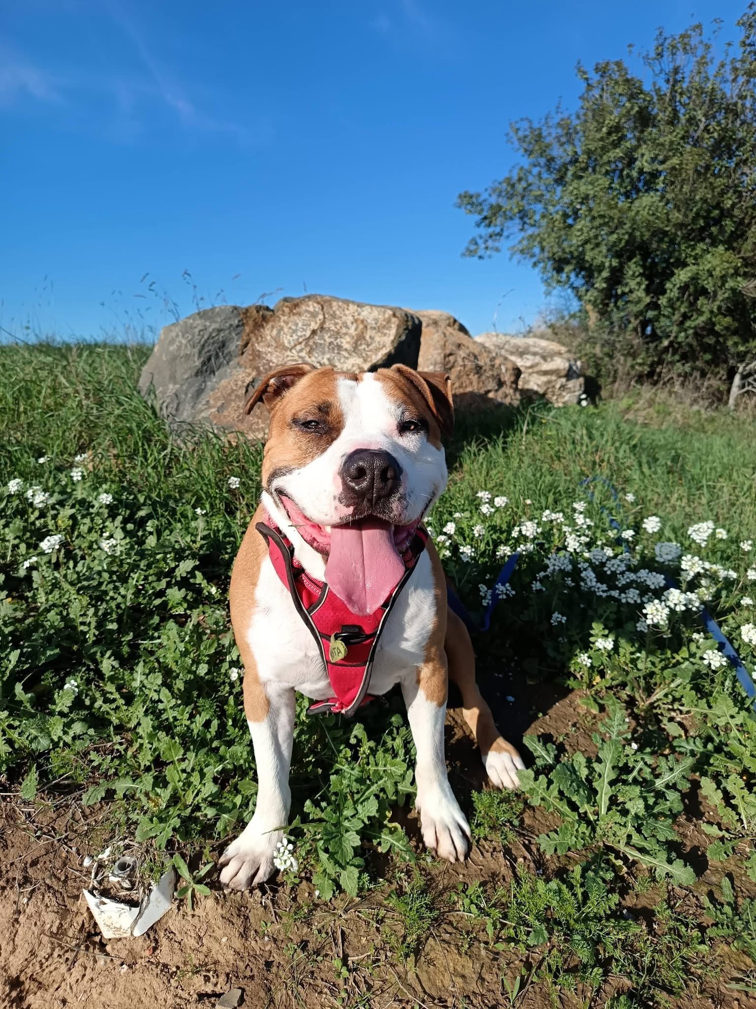 Lire la suite à propos de l’article Yota Non catégorisé