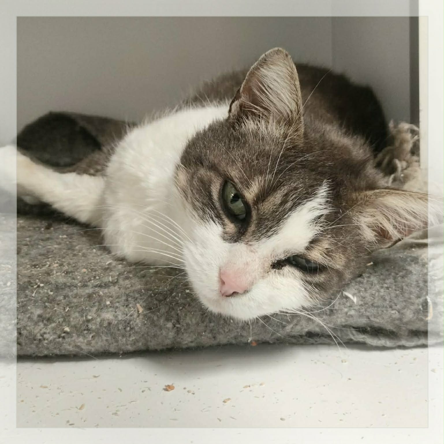 Lire la suite à propos de l’article Minnie