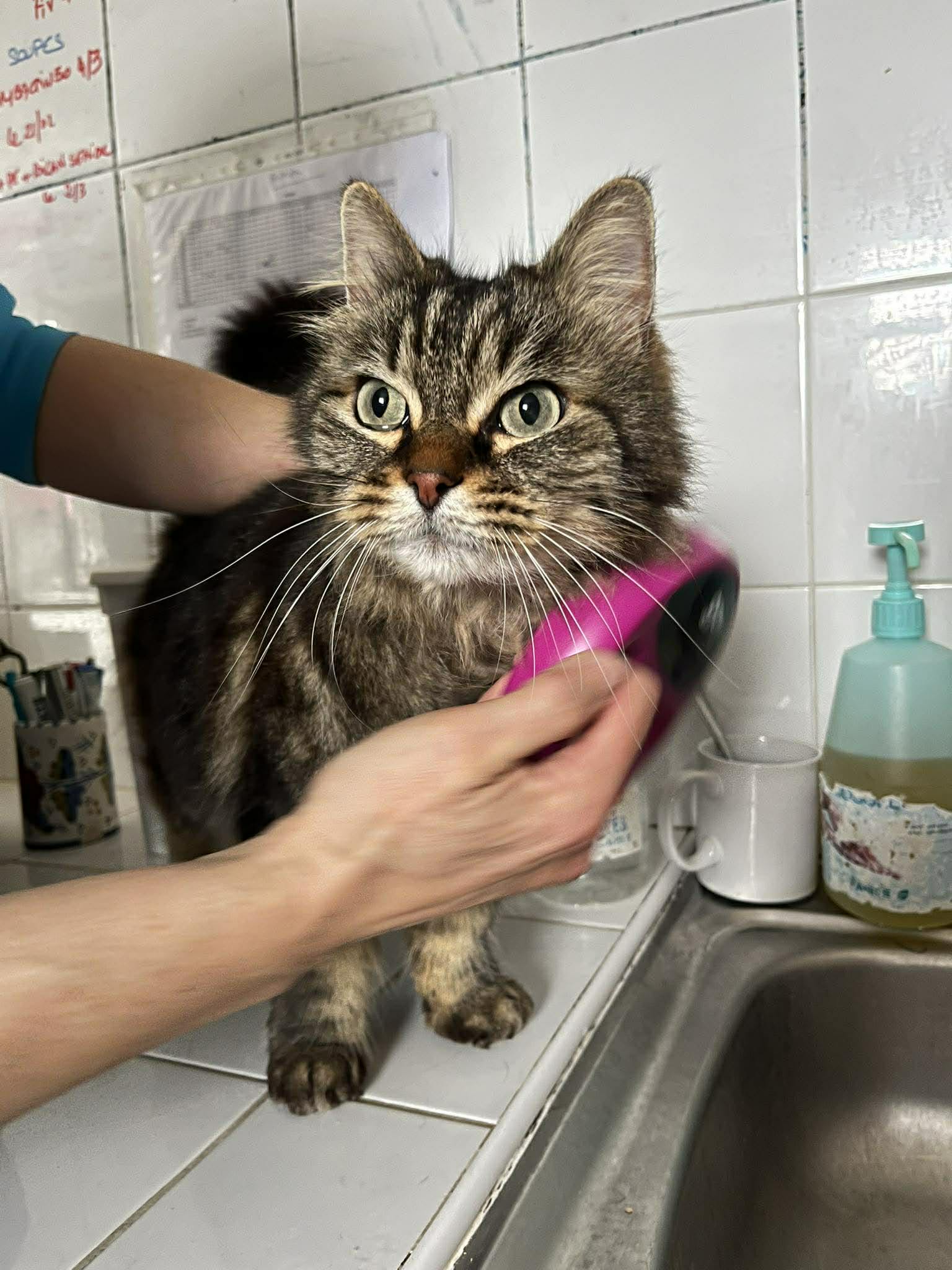 48924c07-2546-4b08-a524-4b3b0ccd9463