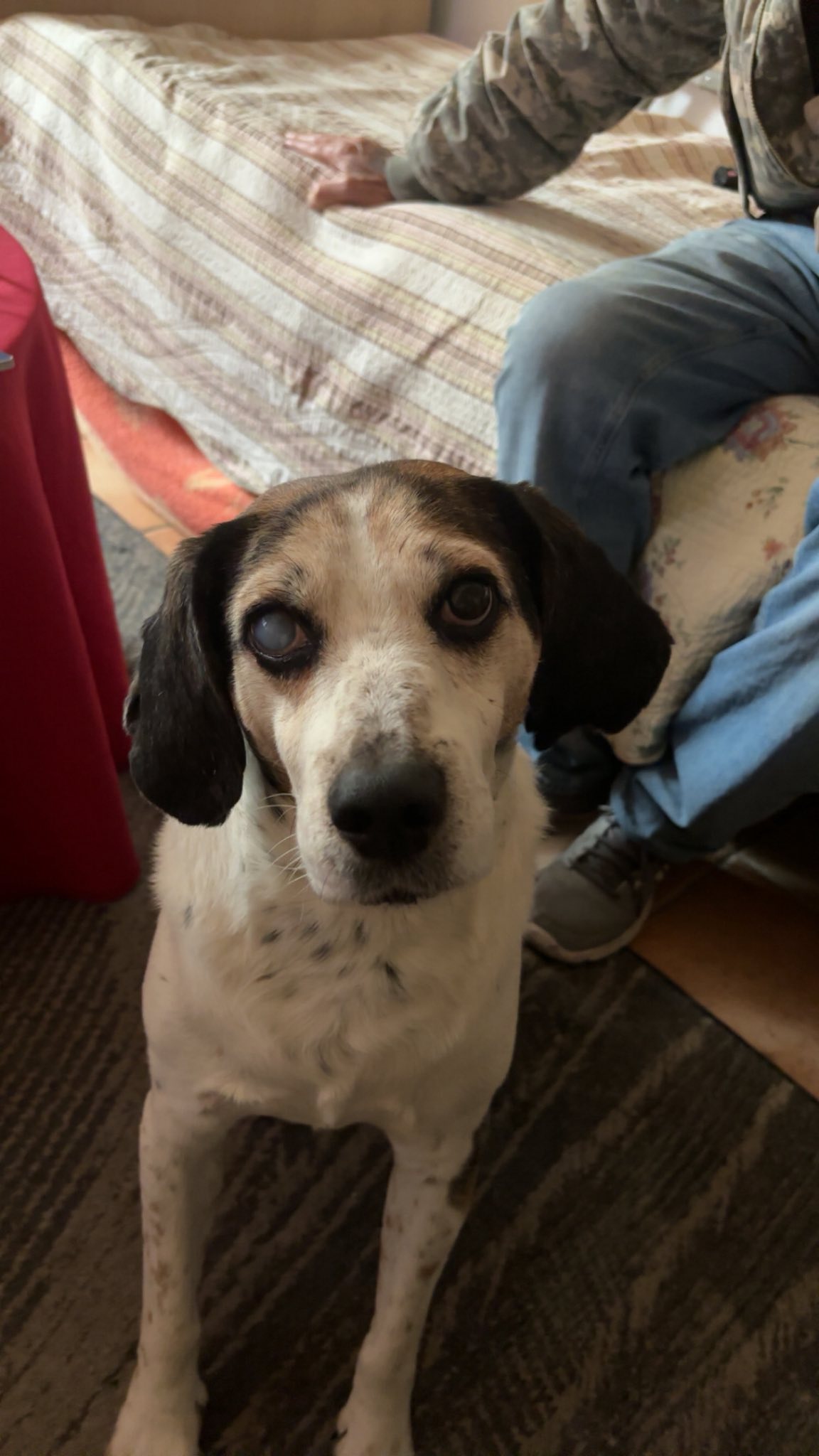 637586723_10215665967880035_132196877512087390_n