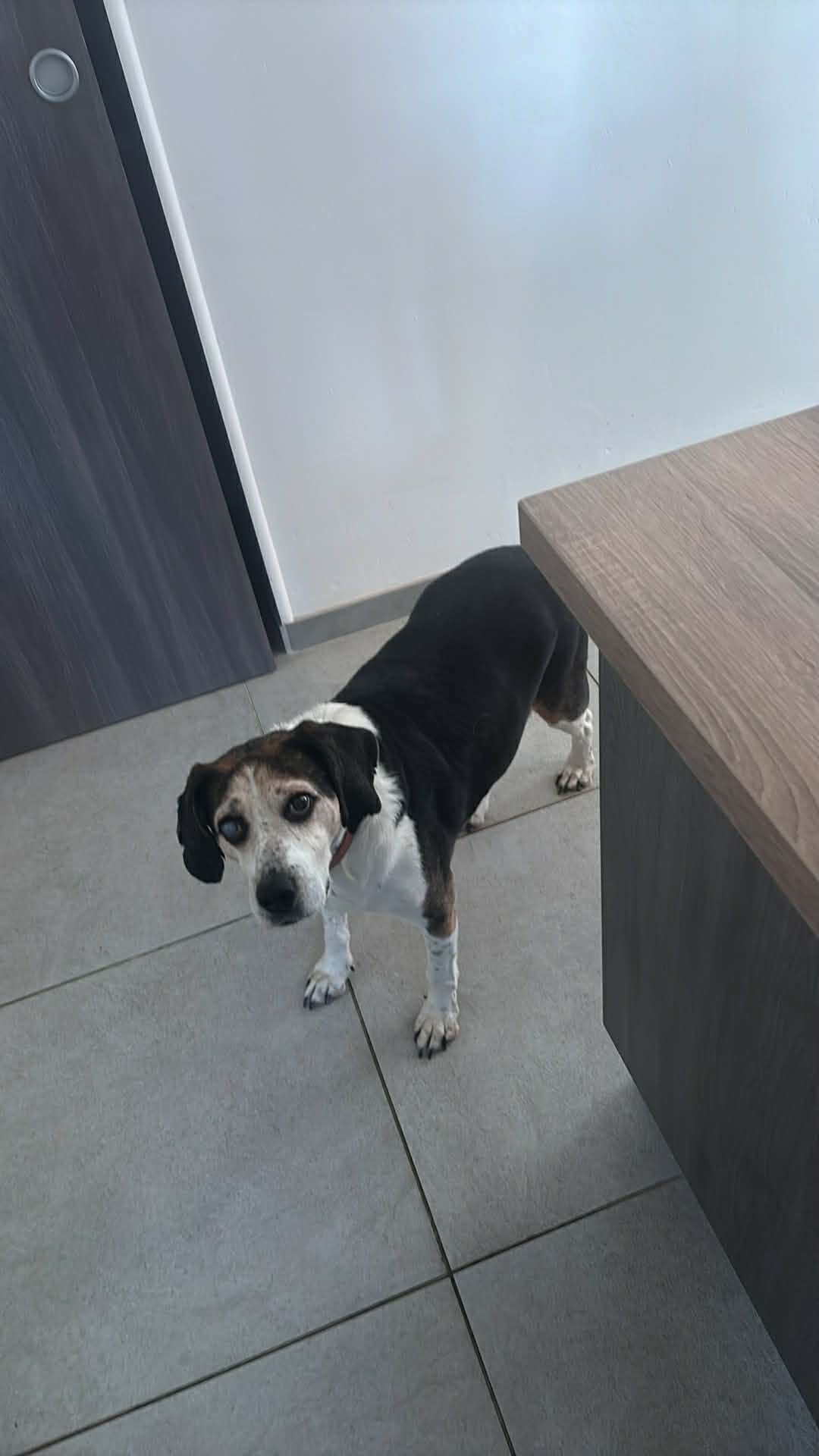 638163247_10215665968080040_5170544443224384318_n