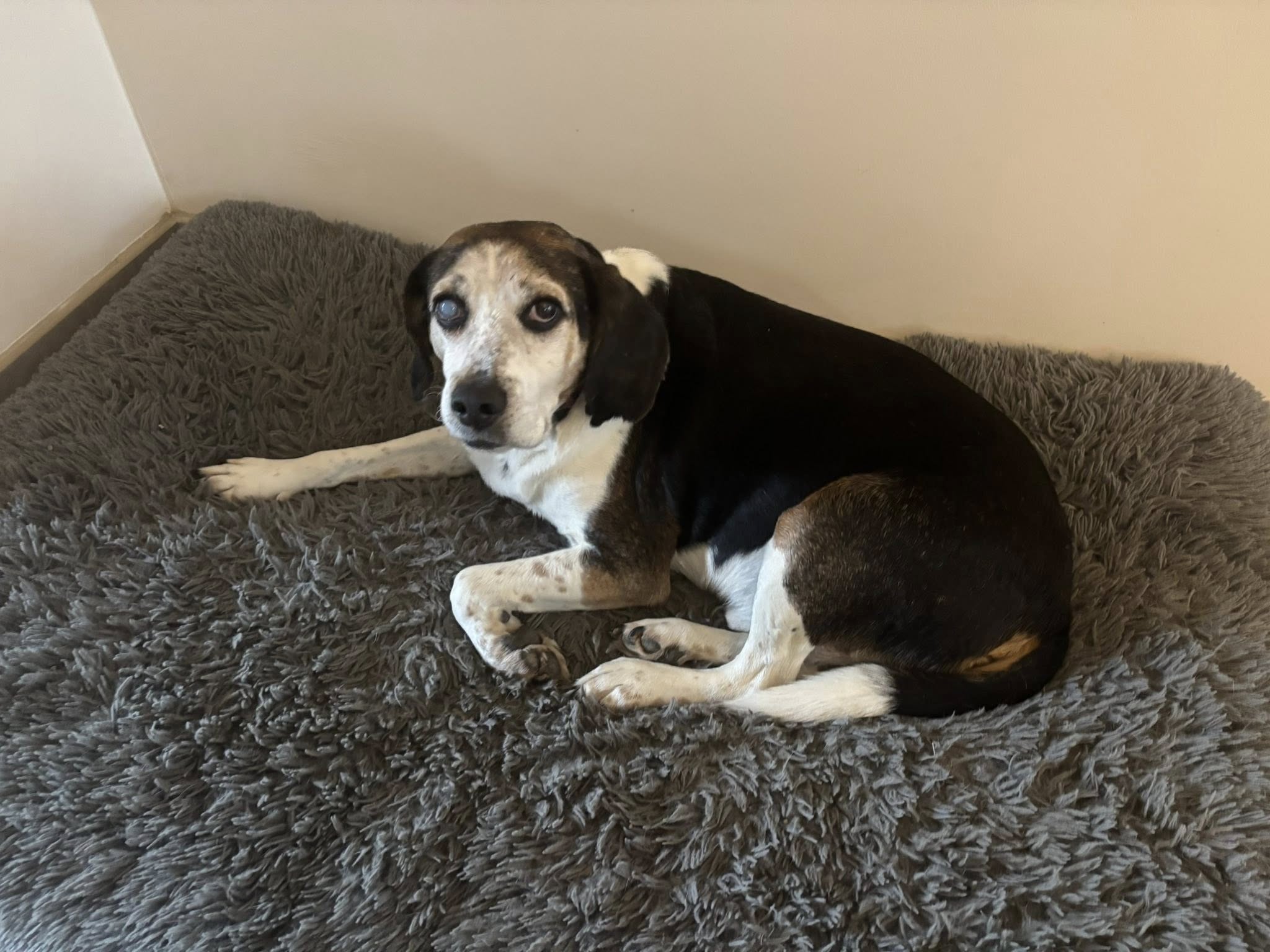 638188639_10215665967960037_7558936524903140342_n