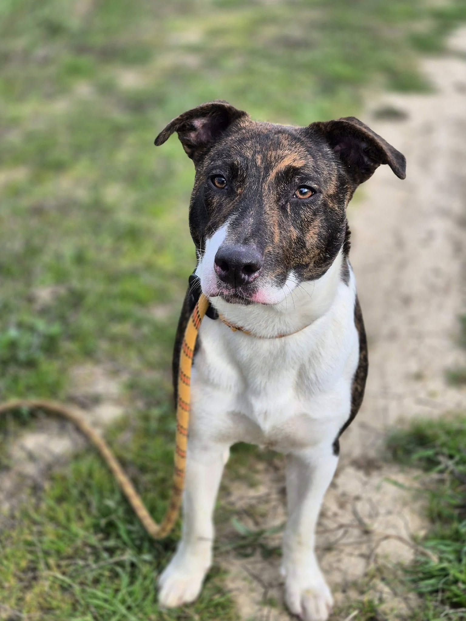 645902913_1337242925096079_1454083104028793958_n